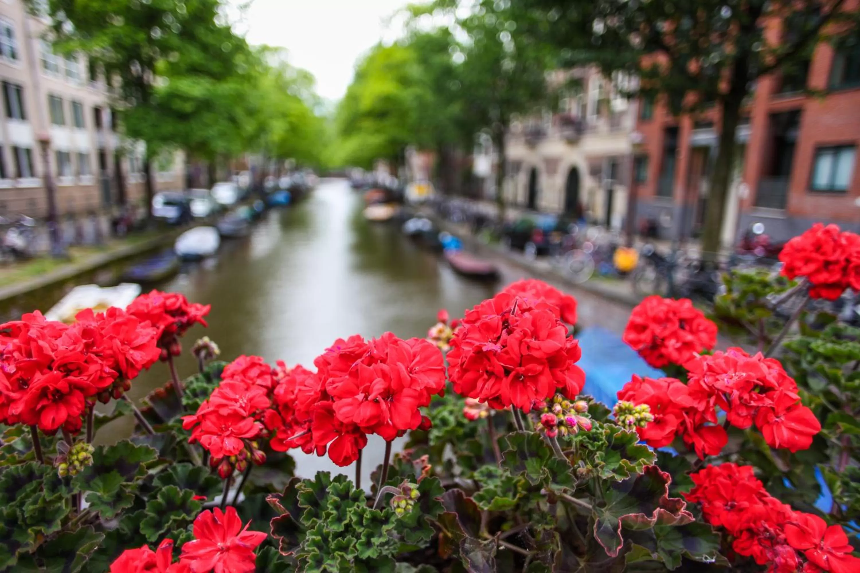 View (from property/room) in Hotel De Looier