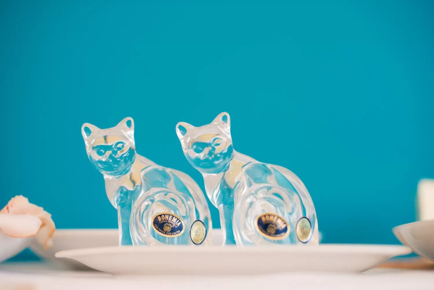 Food and drinks in B&B Be Home