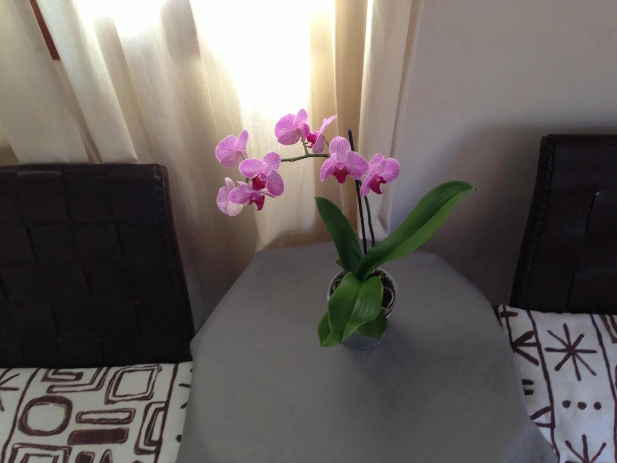 Other in Allotjaments Serra de Tramuntana