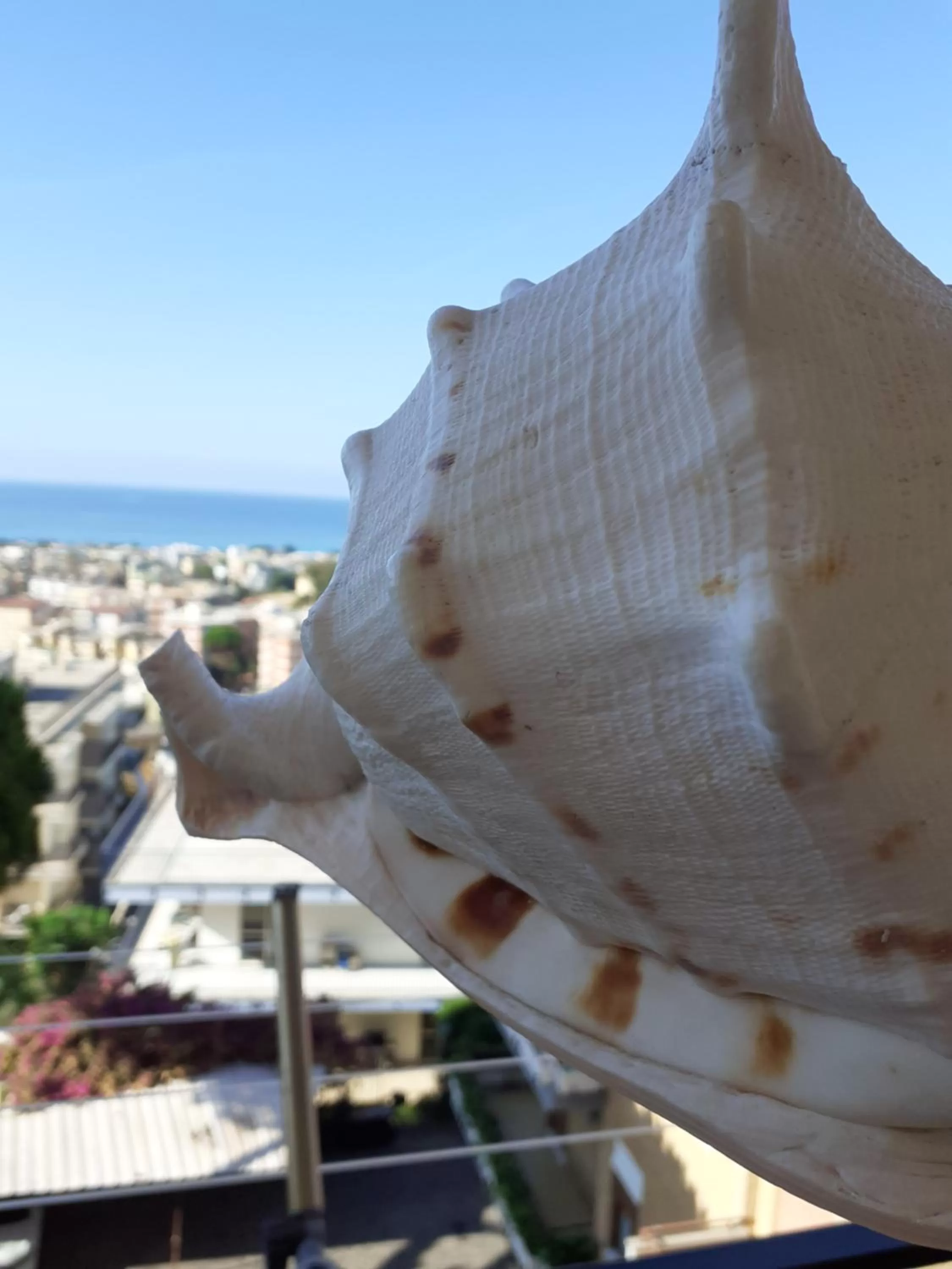 Sea view in Vistamare