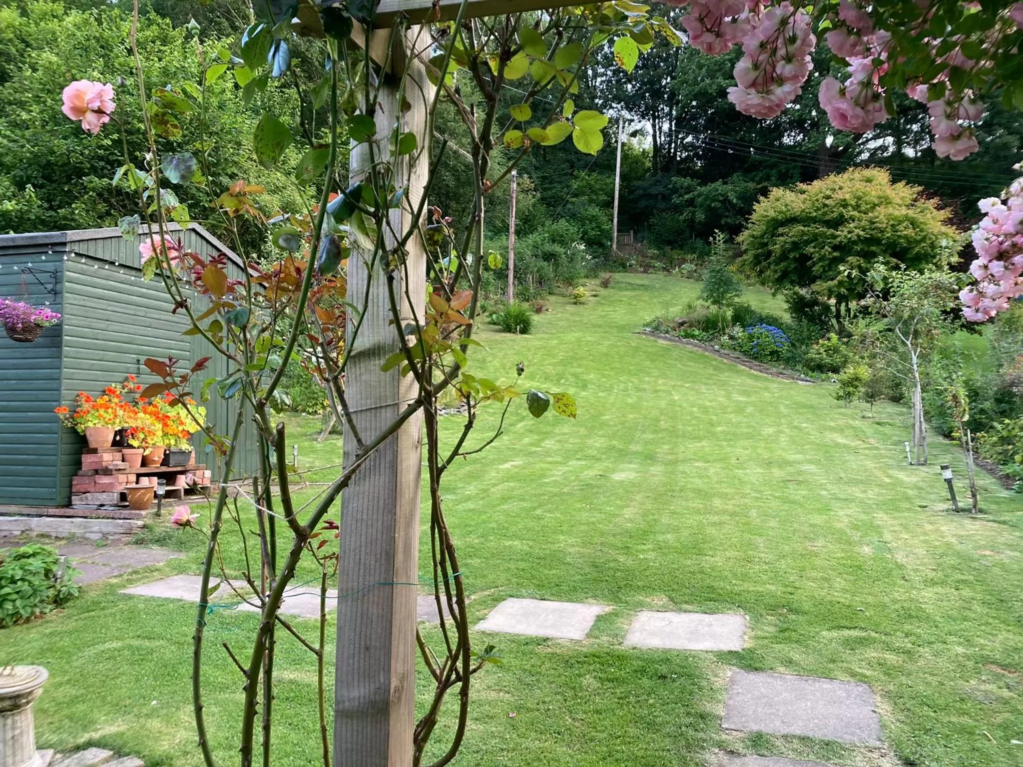 Garden view in Maple Bank Country Guest House