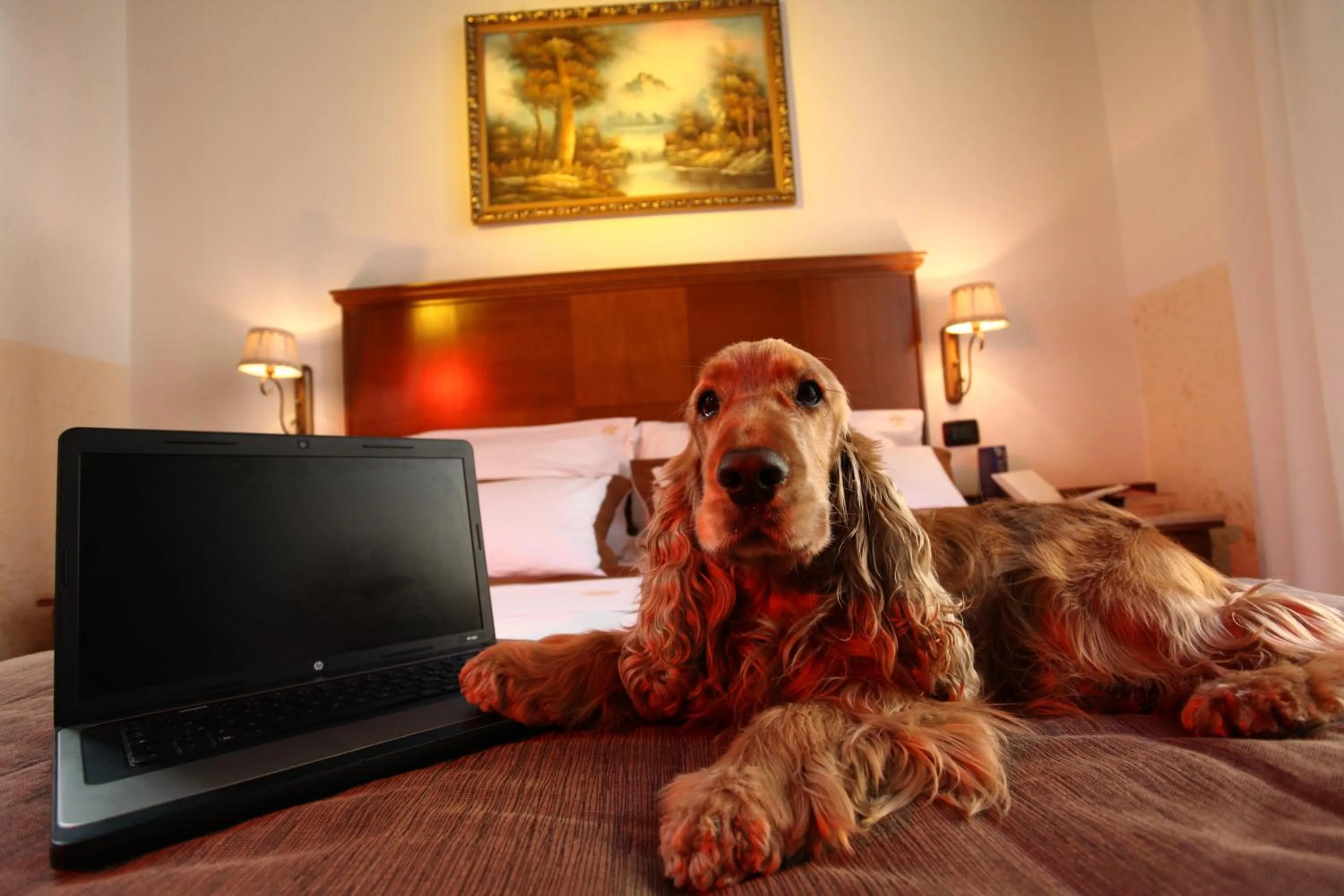 Pets in Hotel Garibaldi
