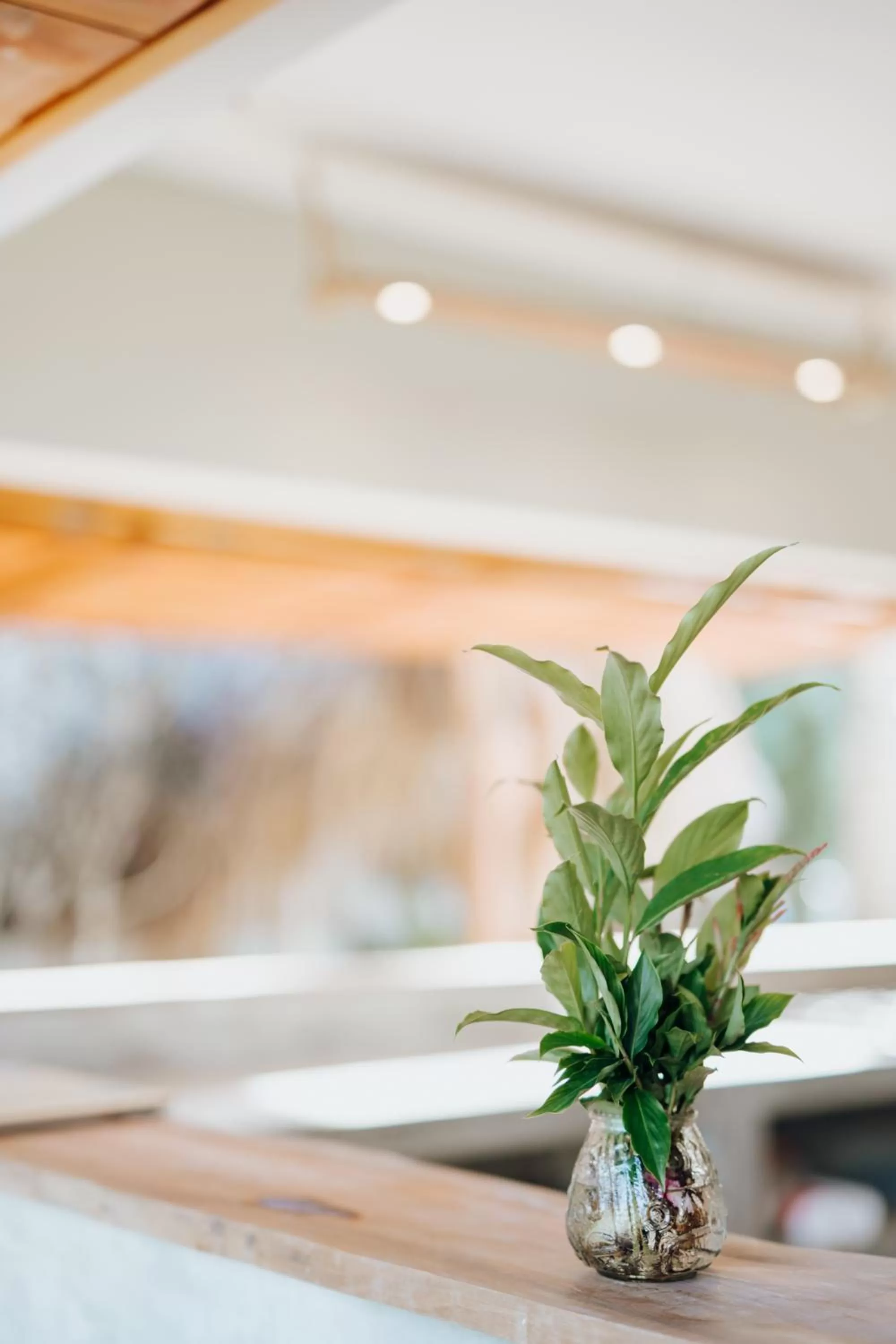 Breakfast in Residencia El Balatà