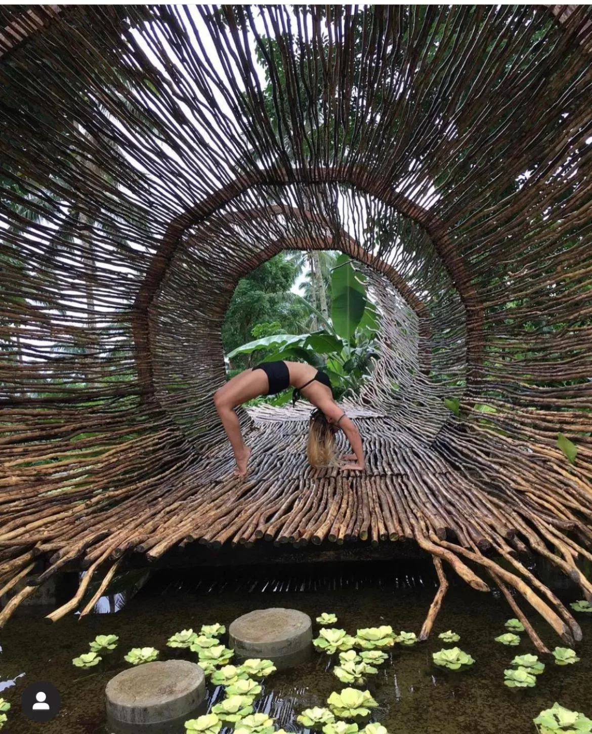 Other Animals in Bintana sa Paraiso Binunsaran