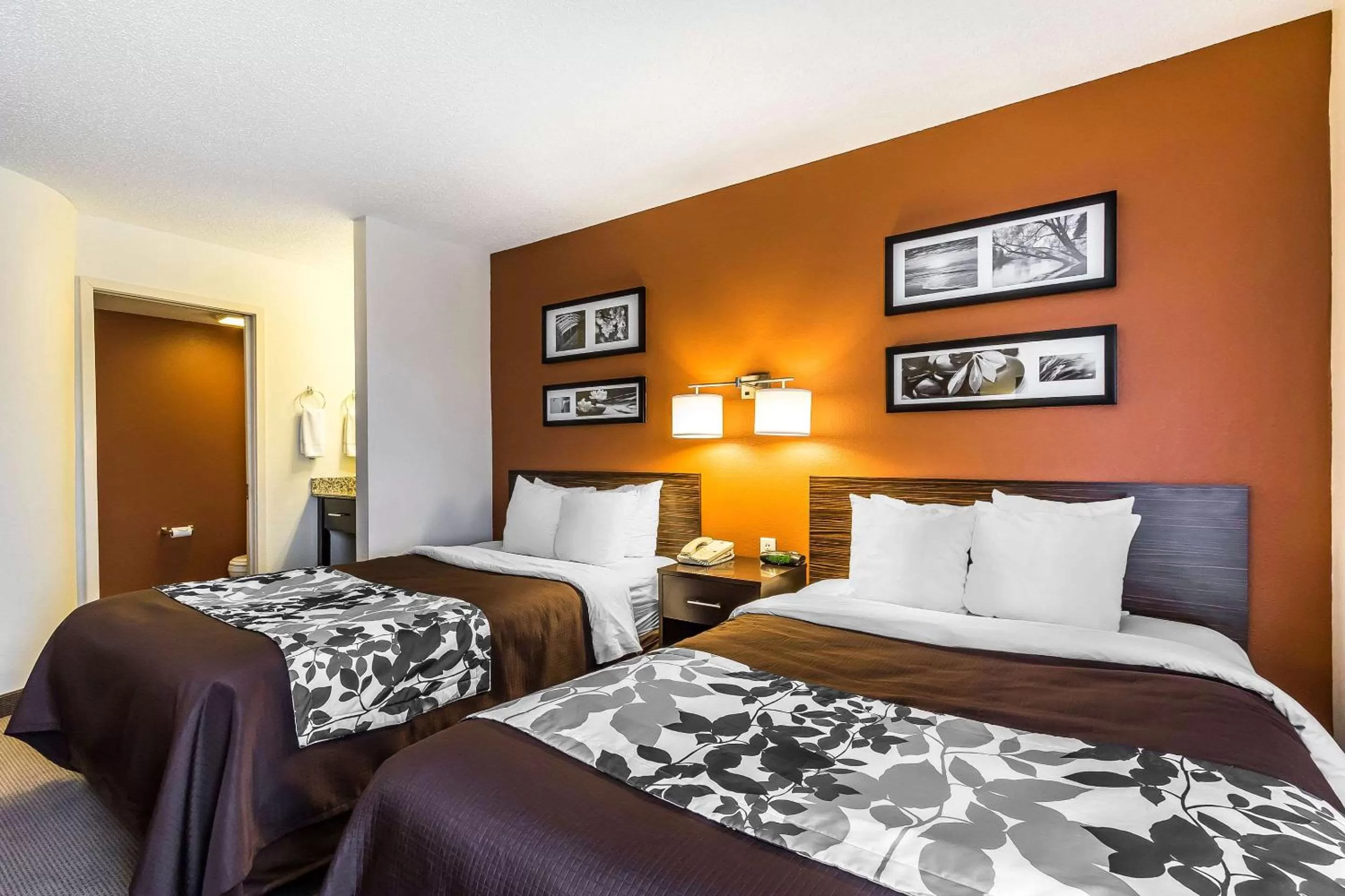 Photo of the whole room, Bed in Sleep Inn Springfield South I60 near Medical District