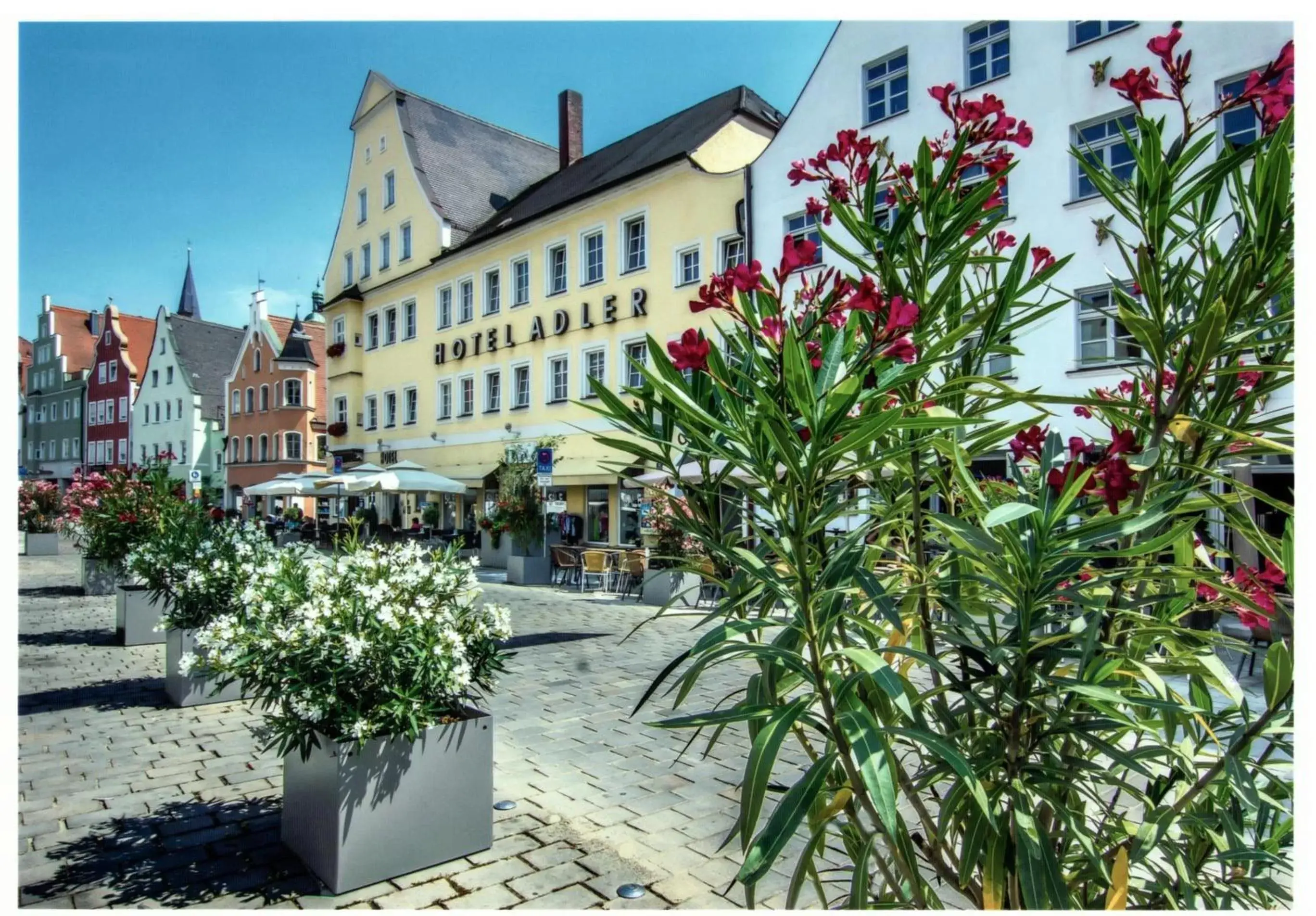 Hotel Adler Hotel Adler