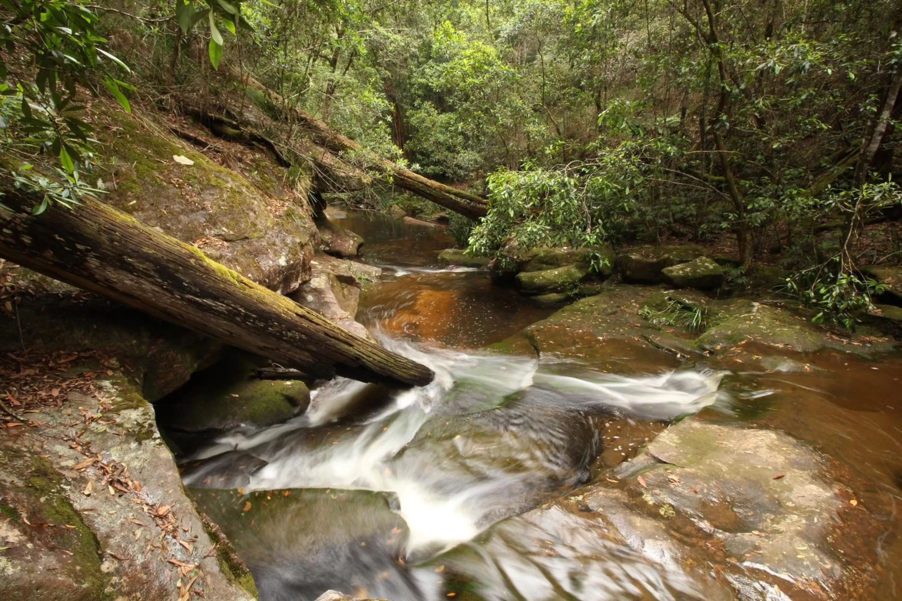Natural landscape in Woongarra Motel