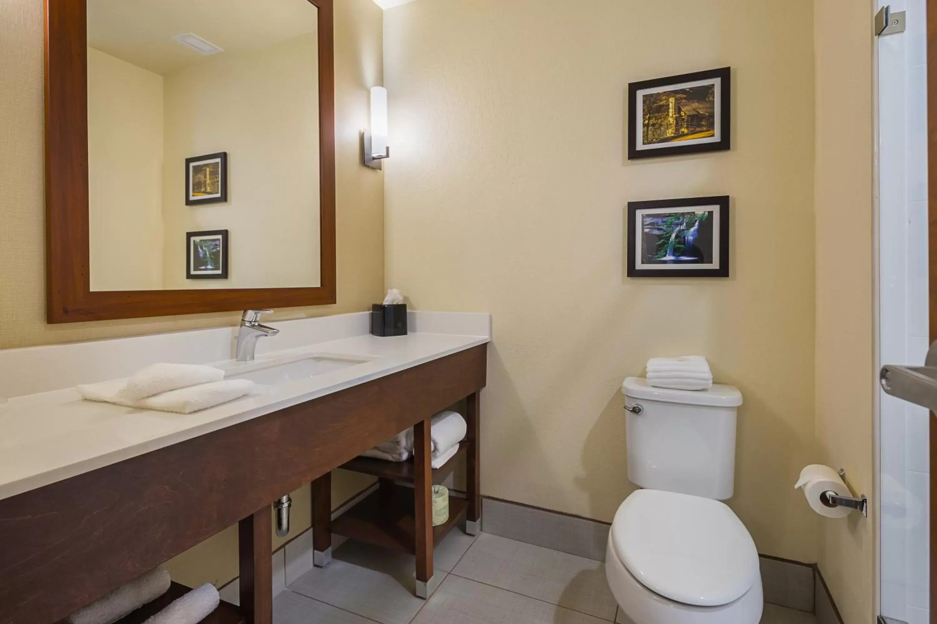 King Suite with Roll-in-Shower - Accessible/Non-Smoking in Comfort Suites Greenville South King Suite with Roll-in-Shower - Accessible/Non-Smoking in Comfort Suites Greenville South