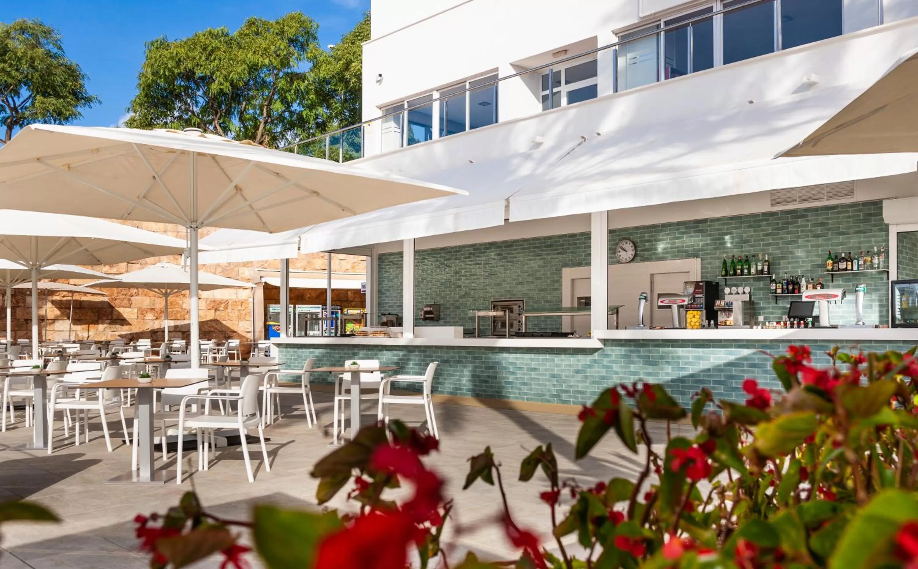 Restaurant/places to eat in Globales Mimosa