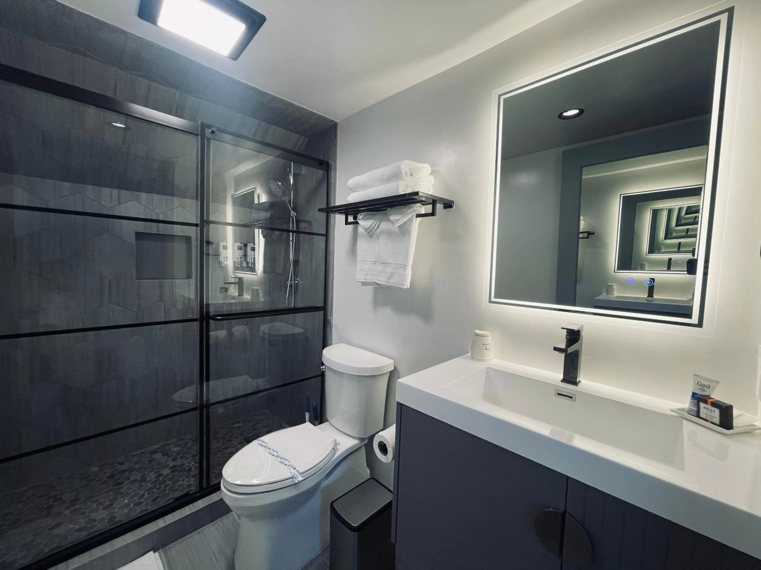 Shower in Hotel Koxie