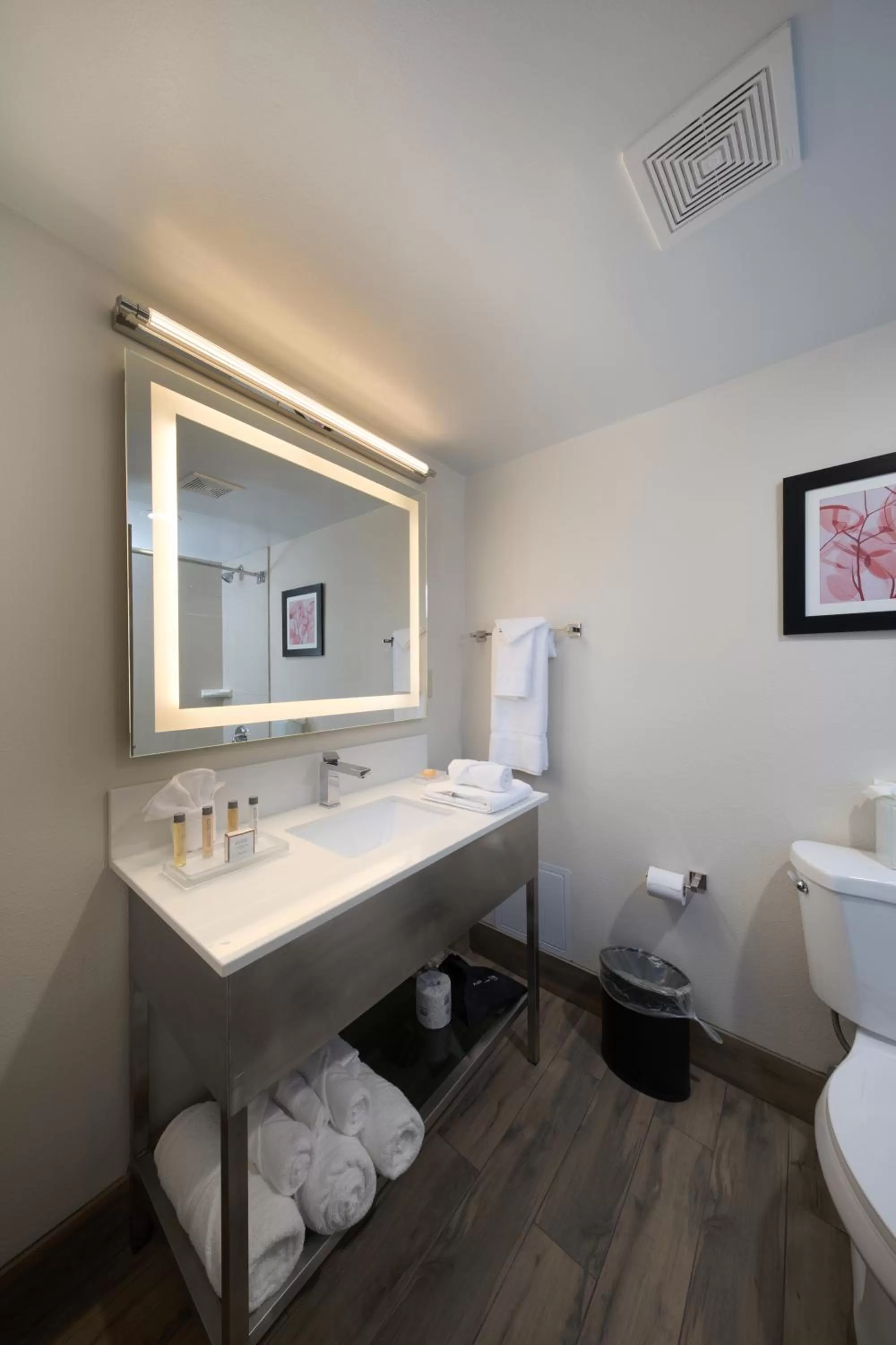 Bathroom in Holiday Inn Brookfield - Milwaukee by IHG