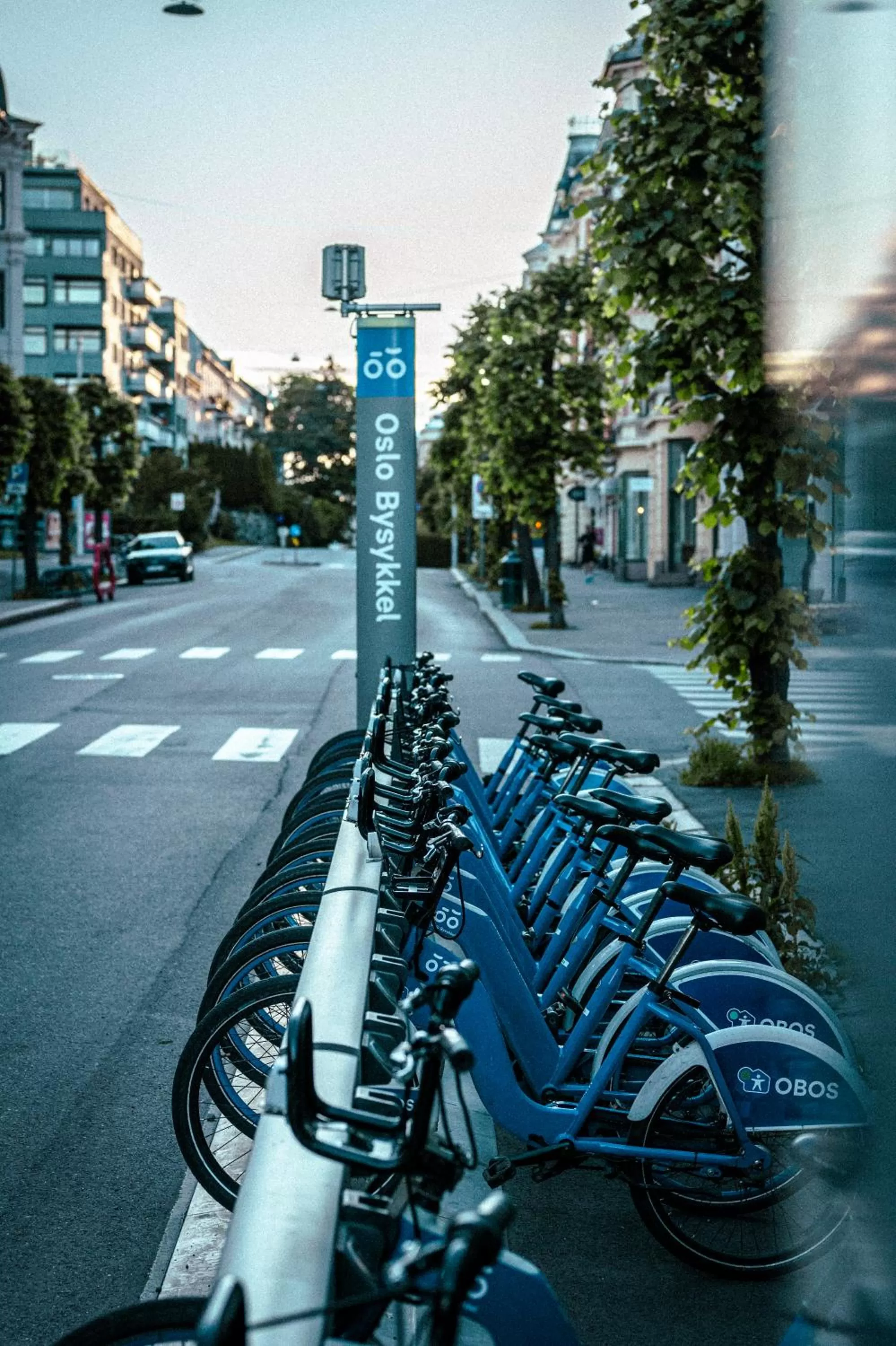 Neighbourhood in Hotel Filip