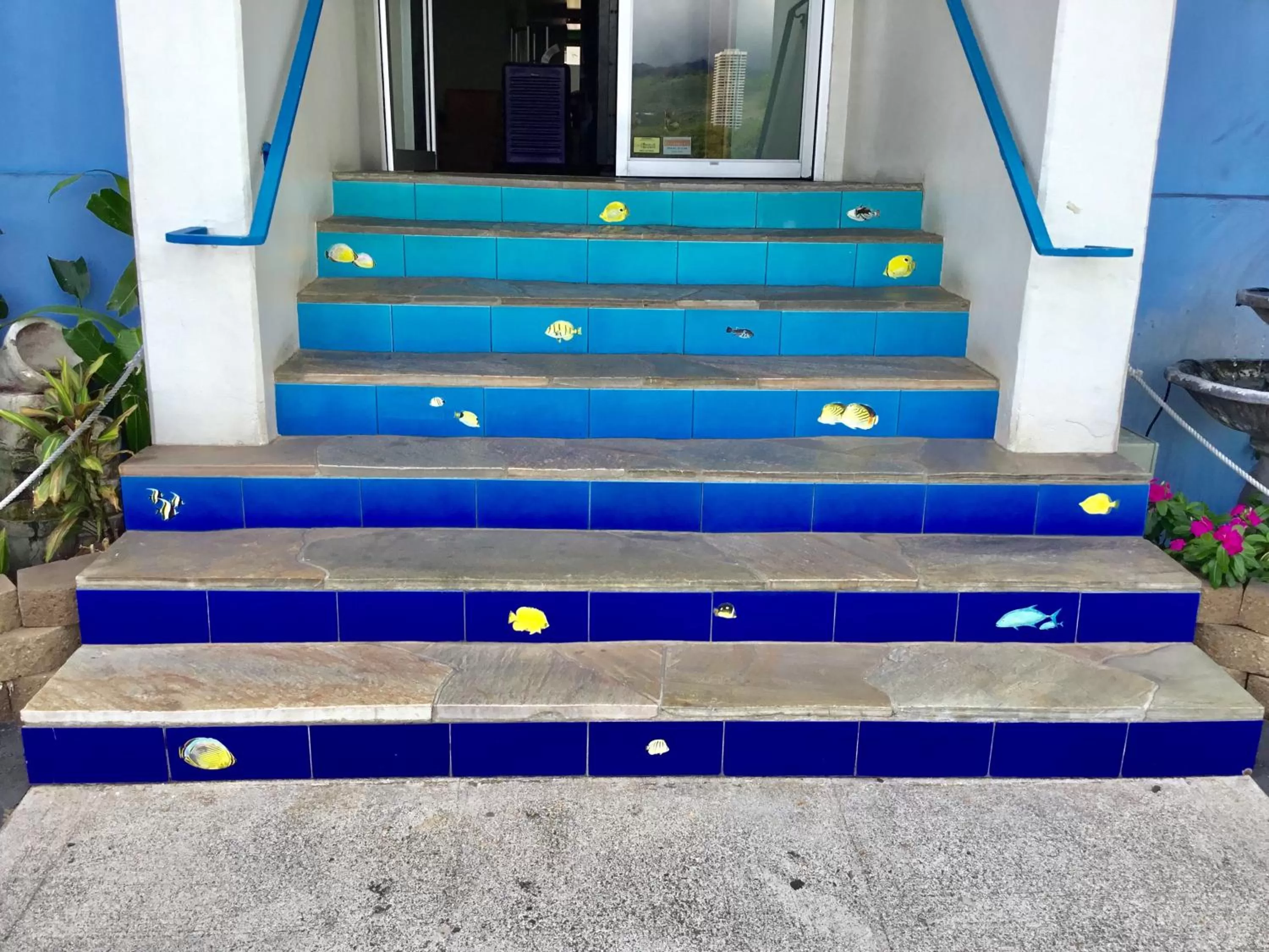 Property building in Holiday Surf Hotel (with full kitchen)