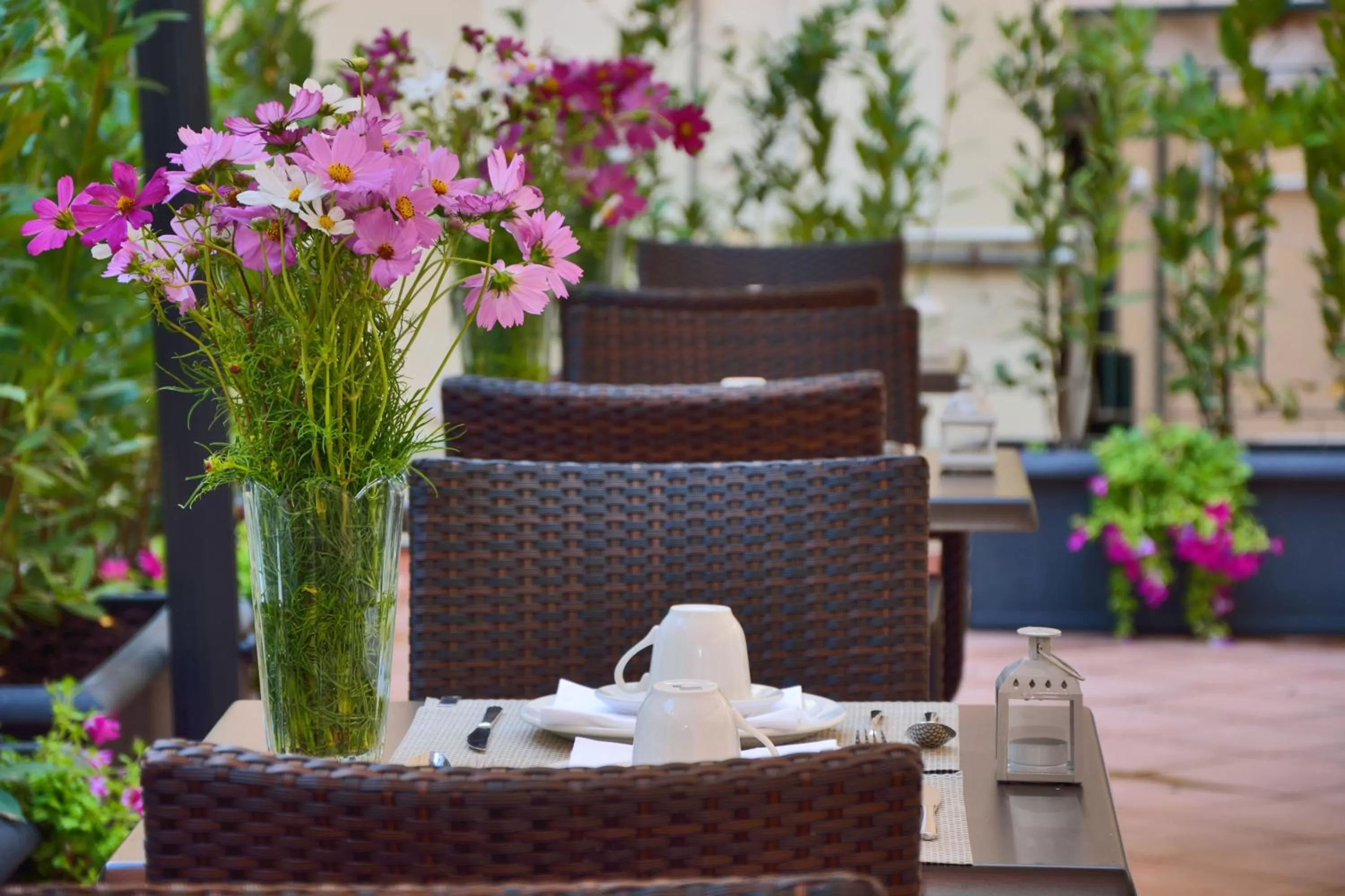 Garden in LH Hotel Lloyd Roma