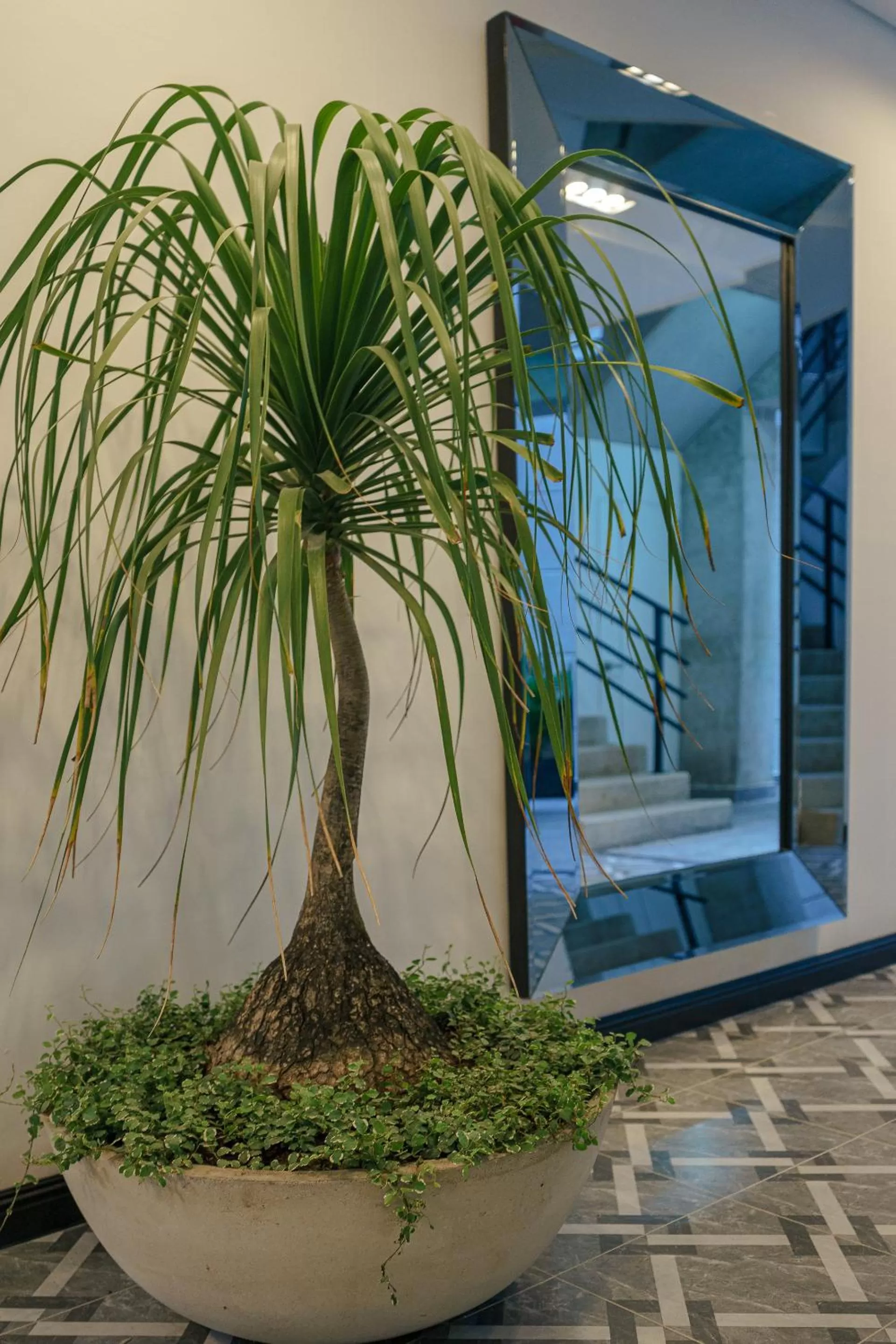 Garden view in First Class Hotel