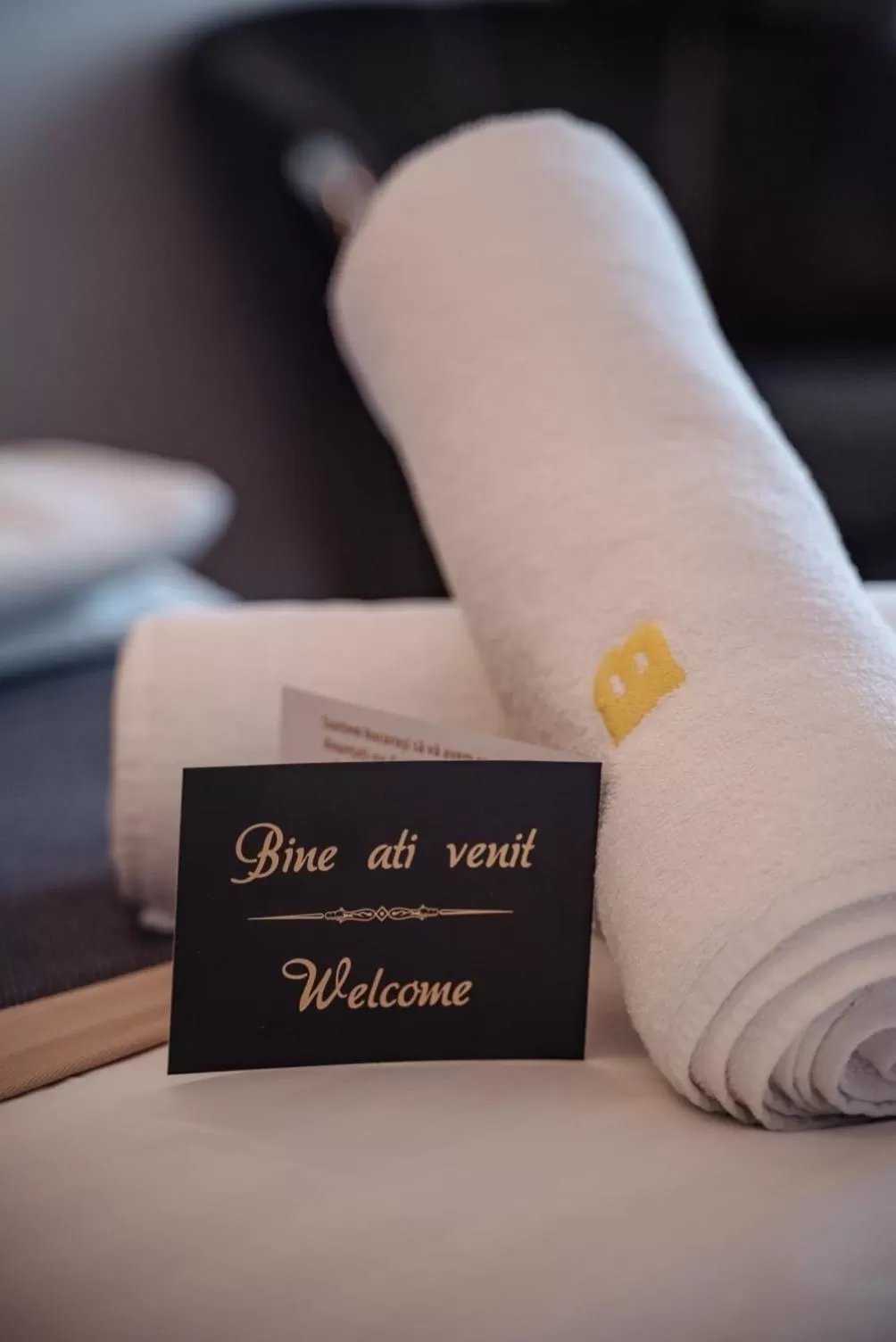 towels, Bed in Silver Mountain Resort & Spa