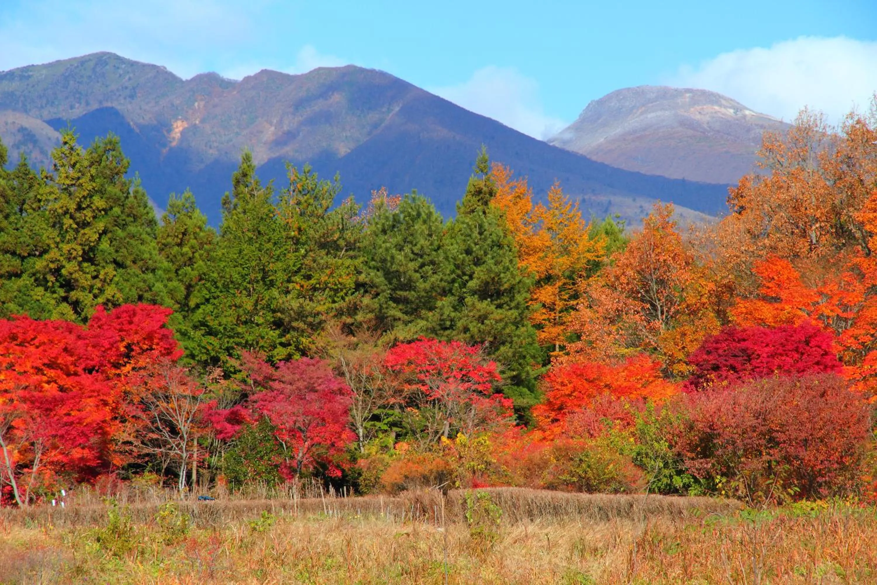Mountain view in Scotch Court