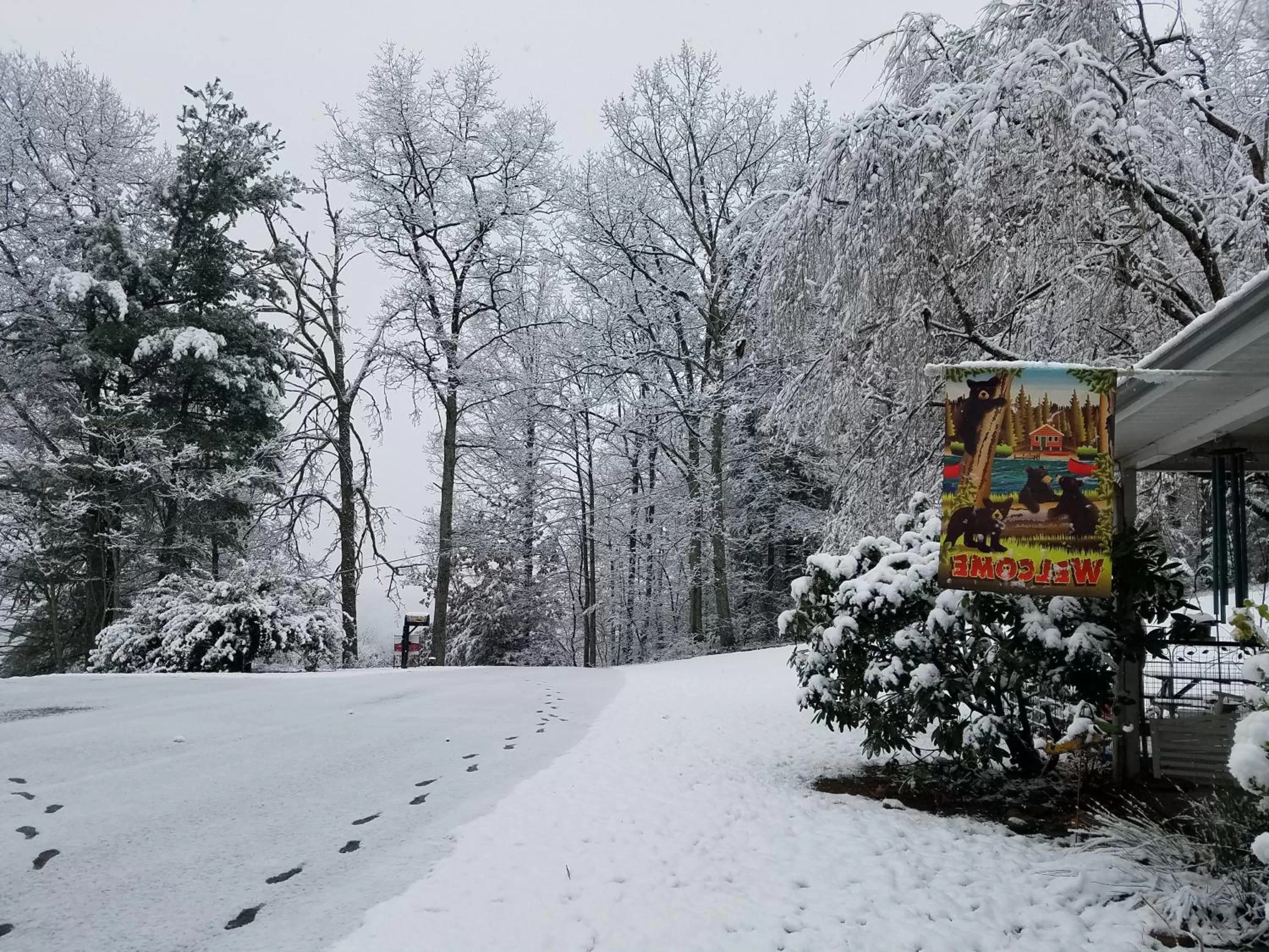 Blue Ridge Manor Bed and Breakfast