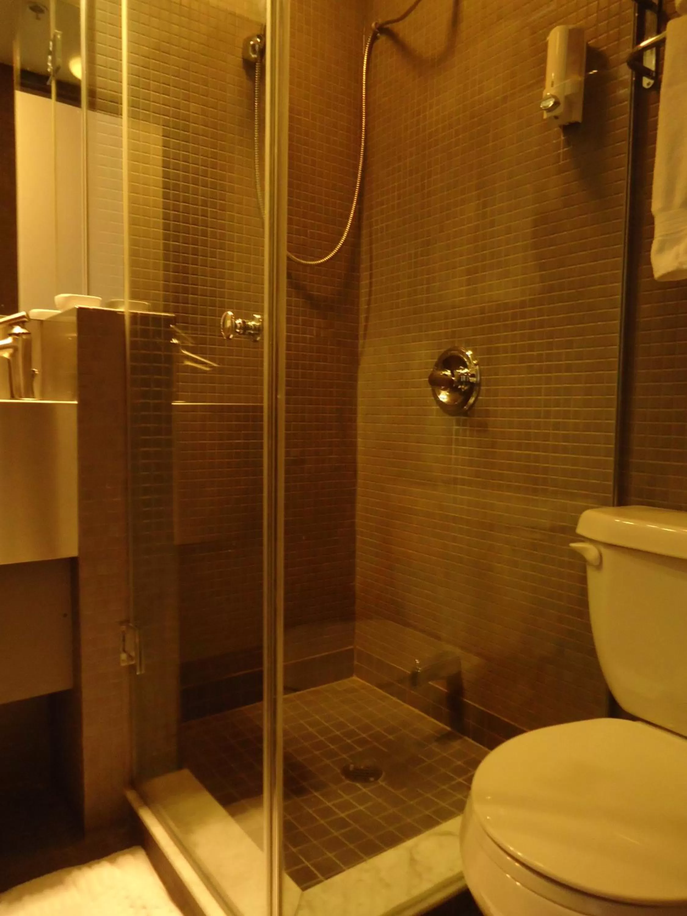 Bathroom in The Rex Hotel Jazz & Blues Bar