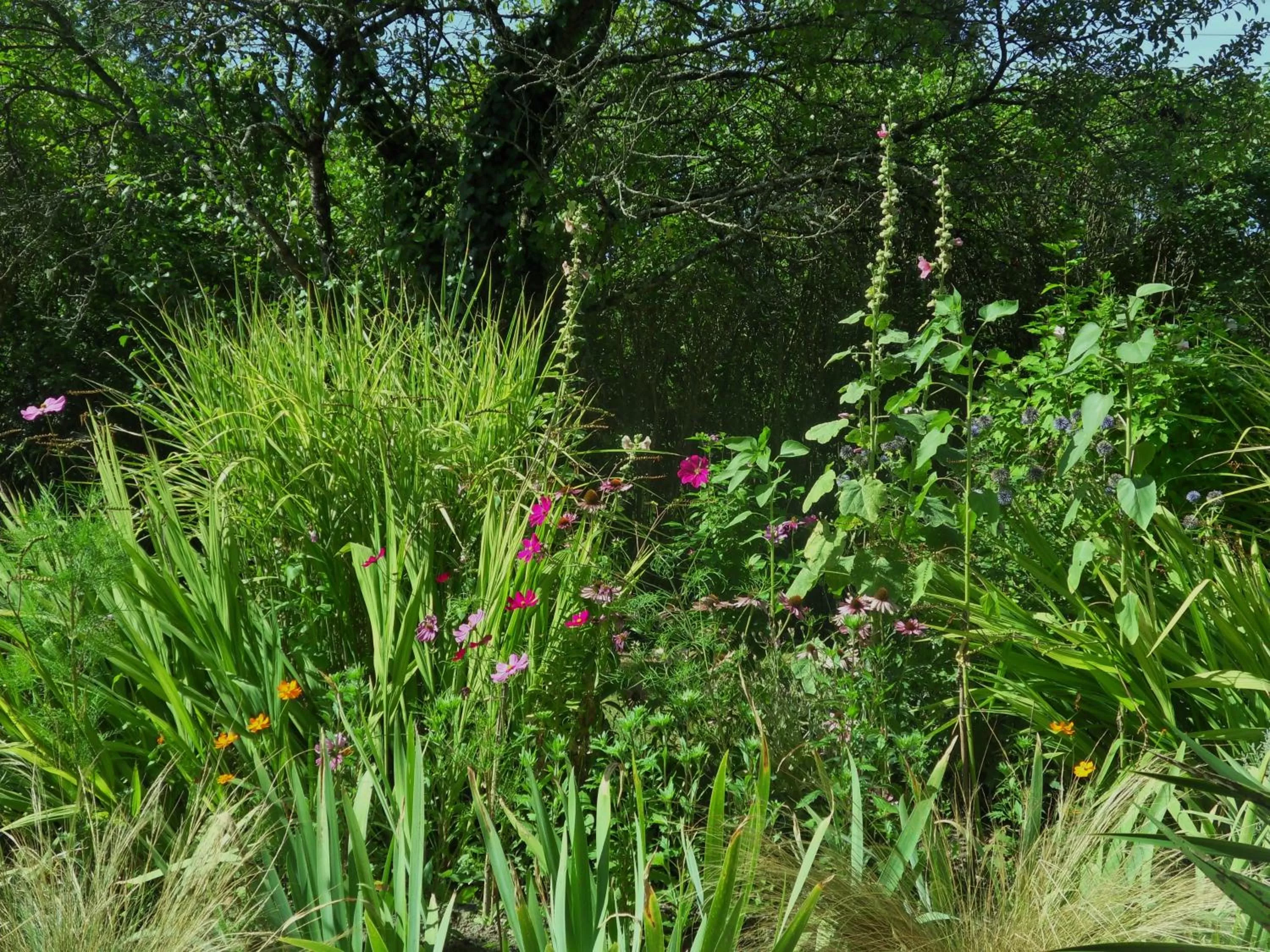 Garden in Troglodelice