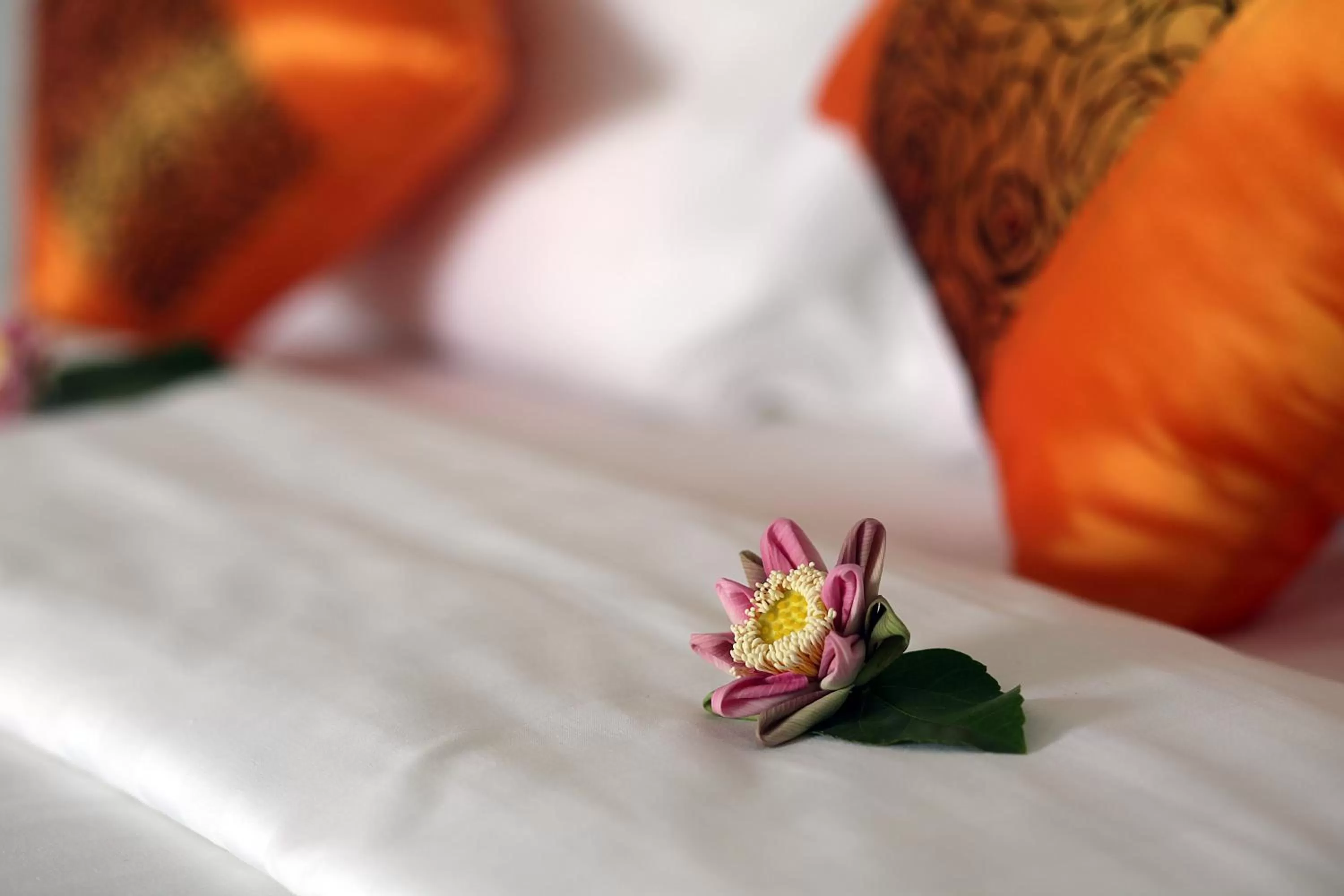 Bedroom in Sam So Boutique Villa