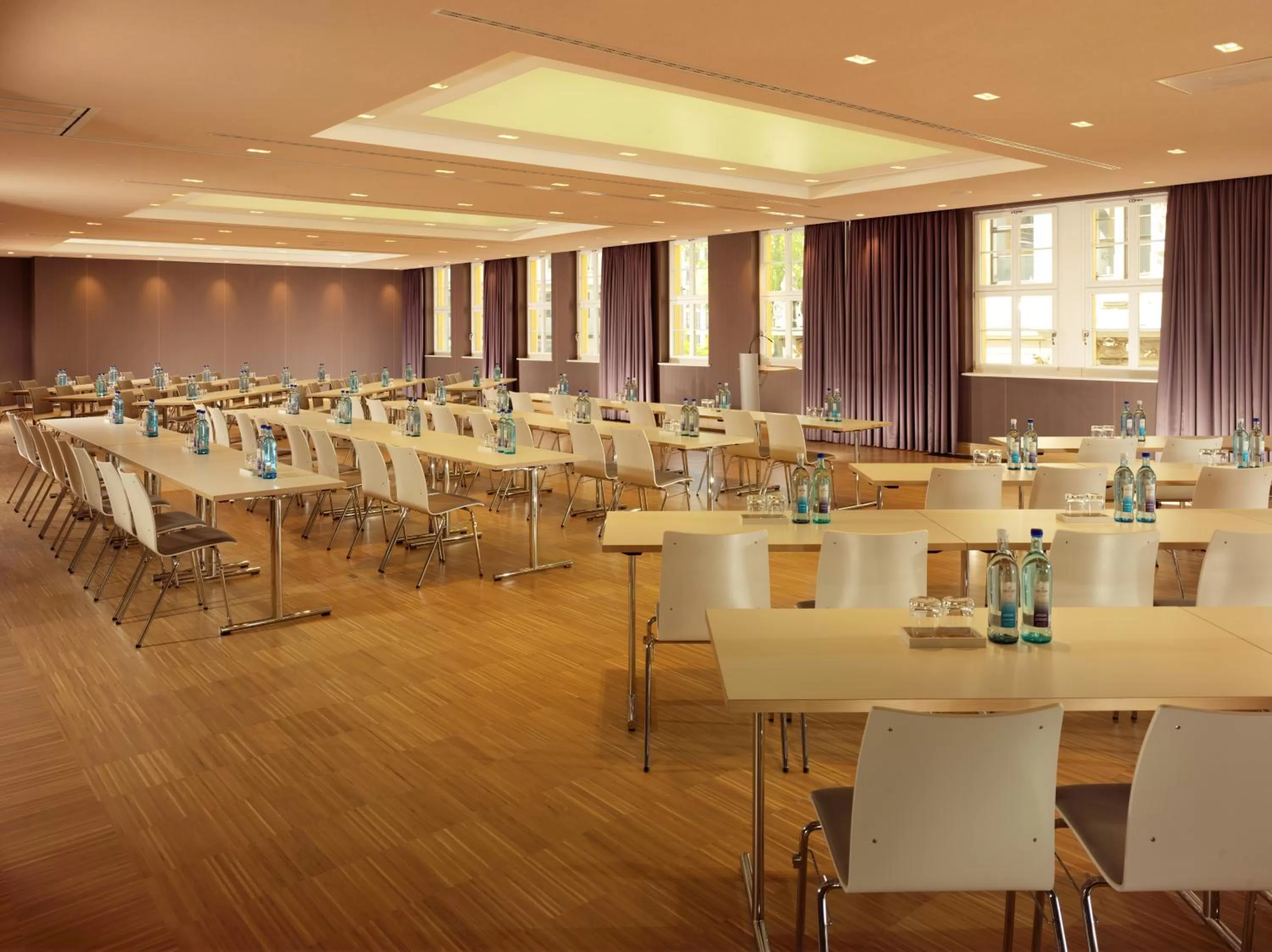 Business facilities in HYPERION Hotel Dresden Am Schloss