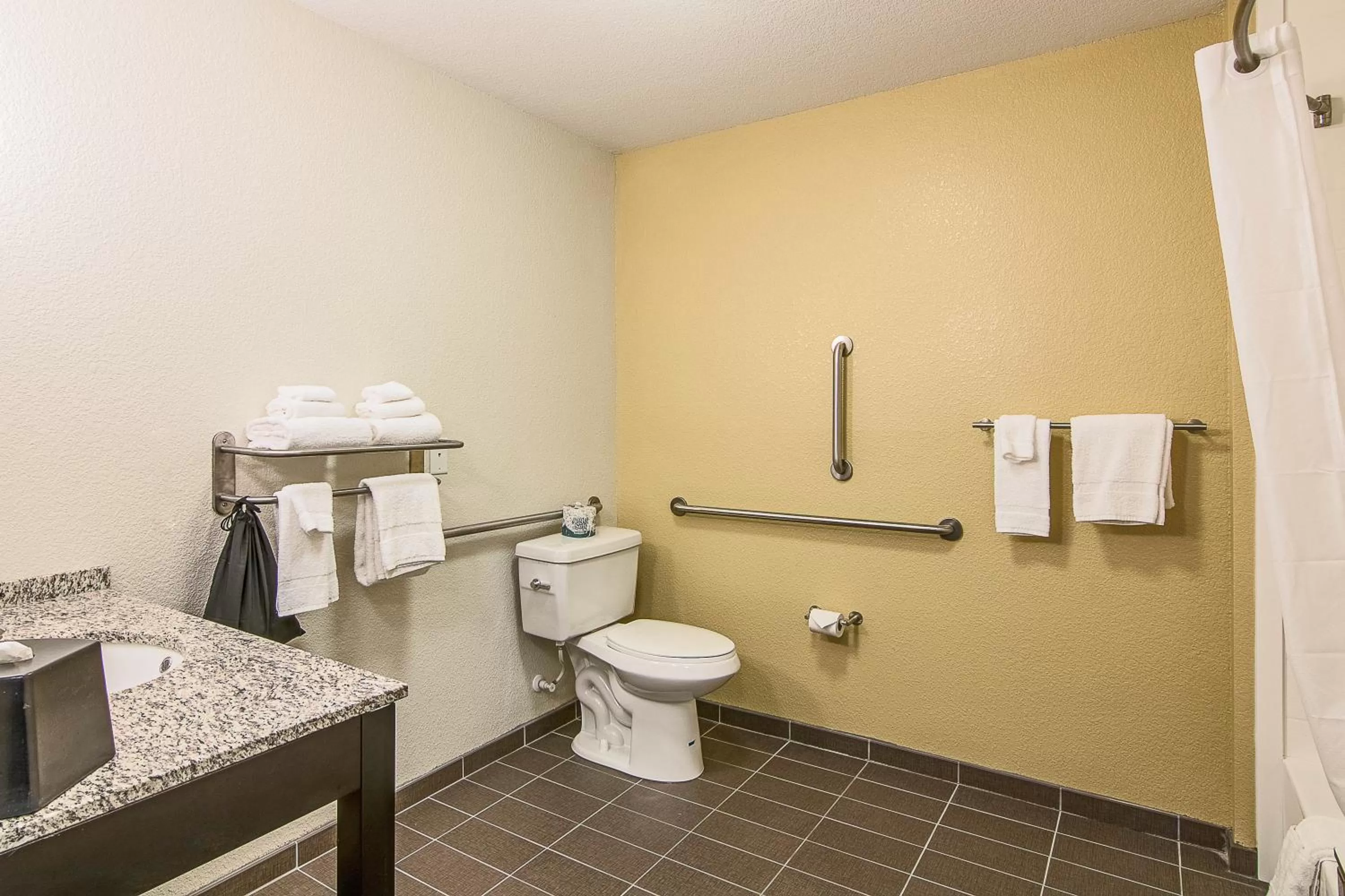 Toilet in Sleep Inn & Suites West-Near Medical Center