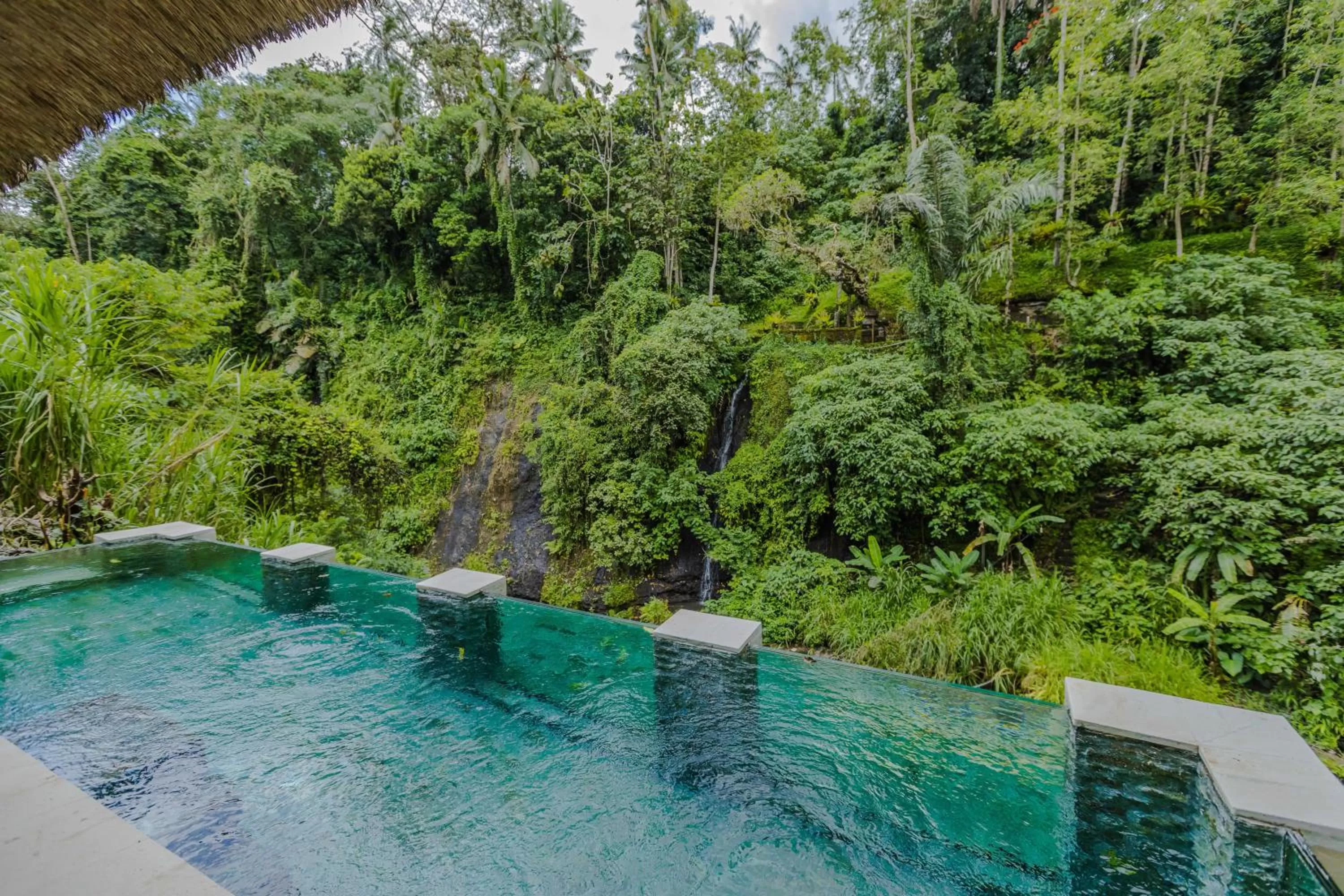 Natural landscape in Villa Cella Bella Ubud