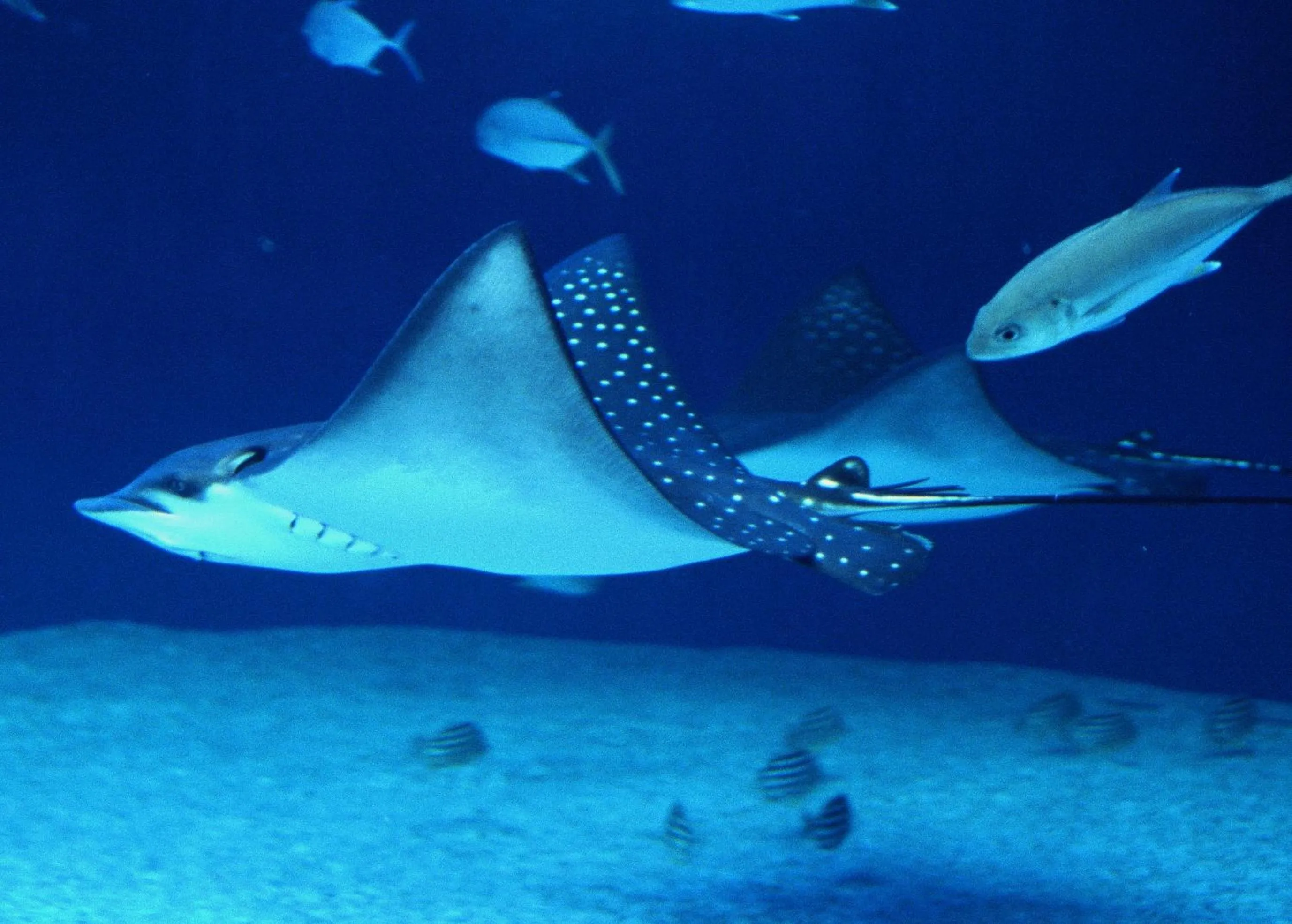 Nearby landmark in Shinagawa Prince Hotel N Tower