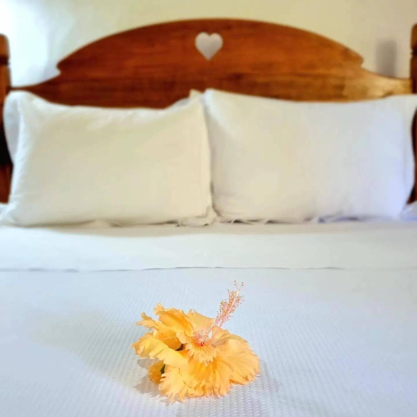 Bed in Pousada Villages Boutique Hotel