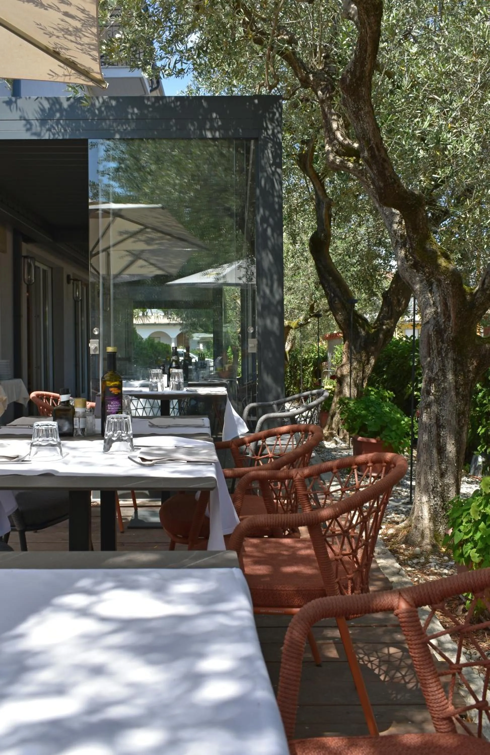 Restaurant/places to eat in Hotel Marolda