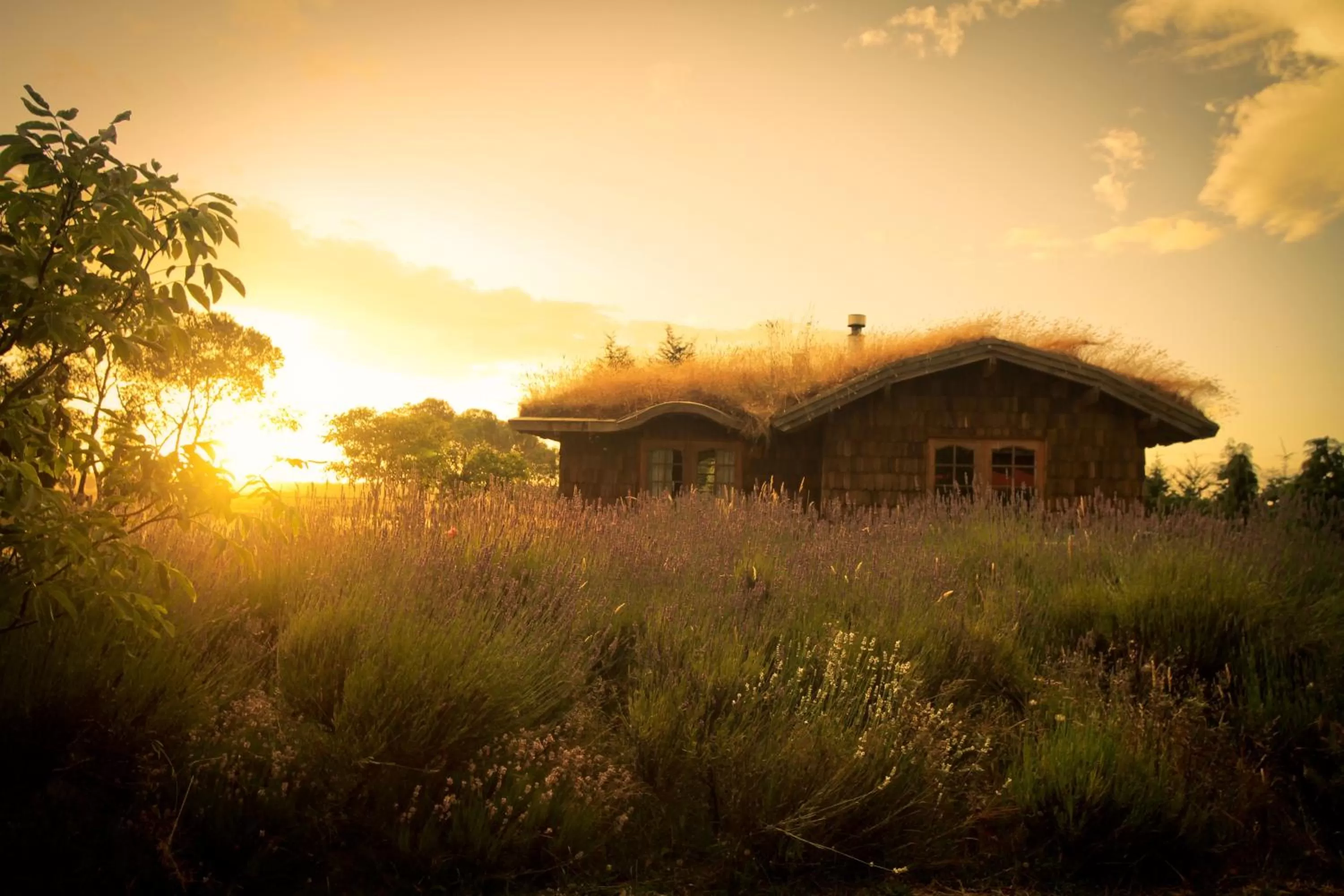 Facade/entrance in Hostal Zapato Amarillo