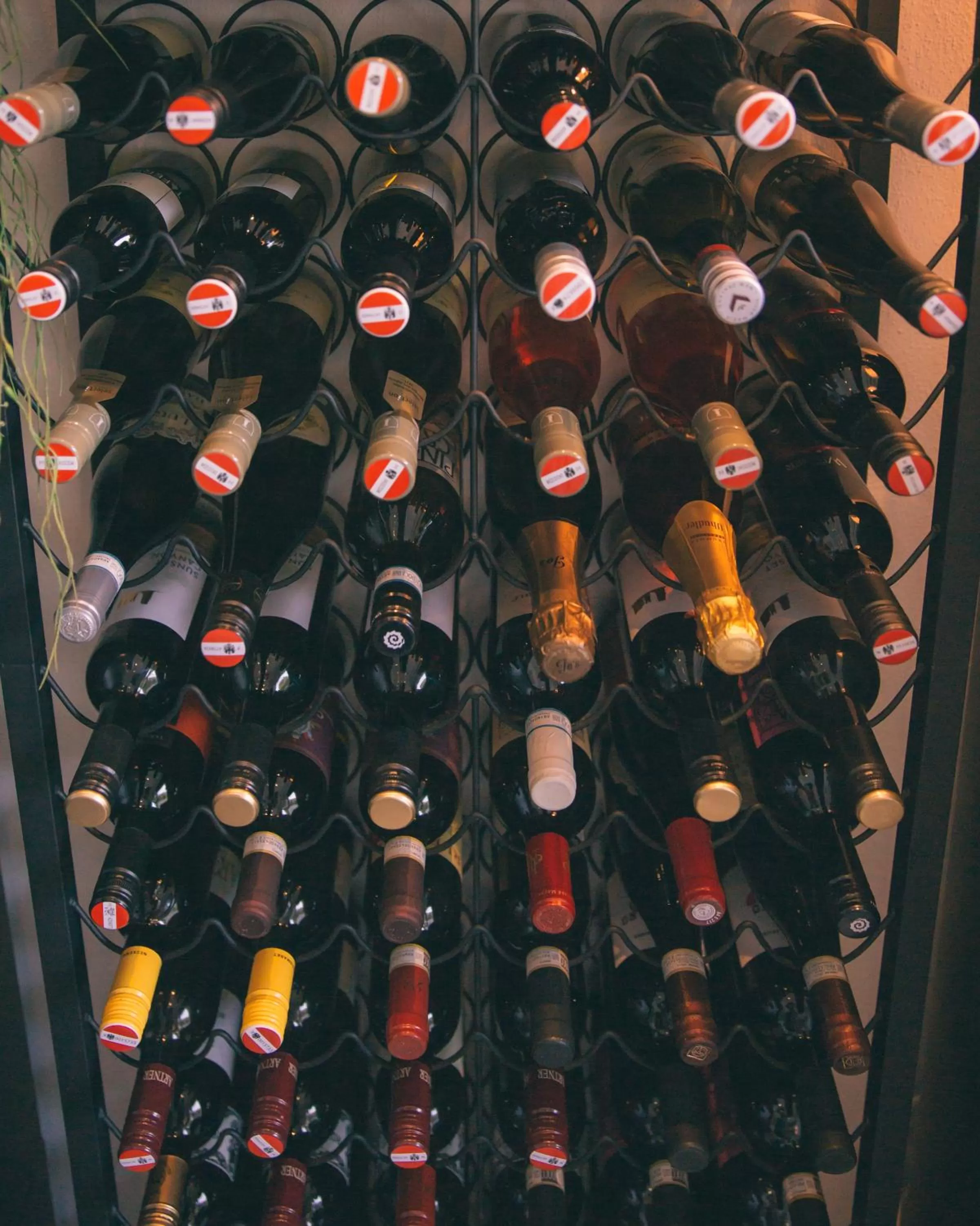 Banquet/Function facilities in Nefer, Haus