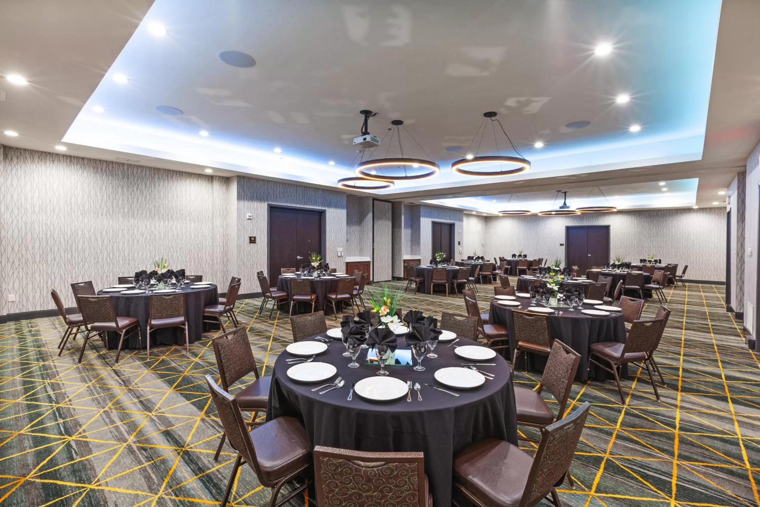 Banquet/Function facilities in Holiday Inn & Suites McKinney - N Allen by IHG