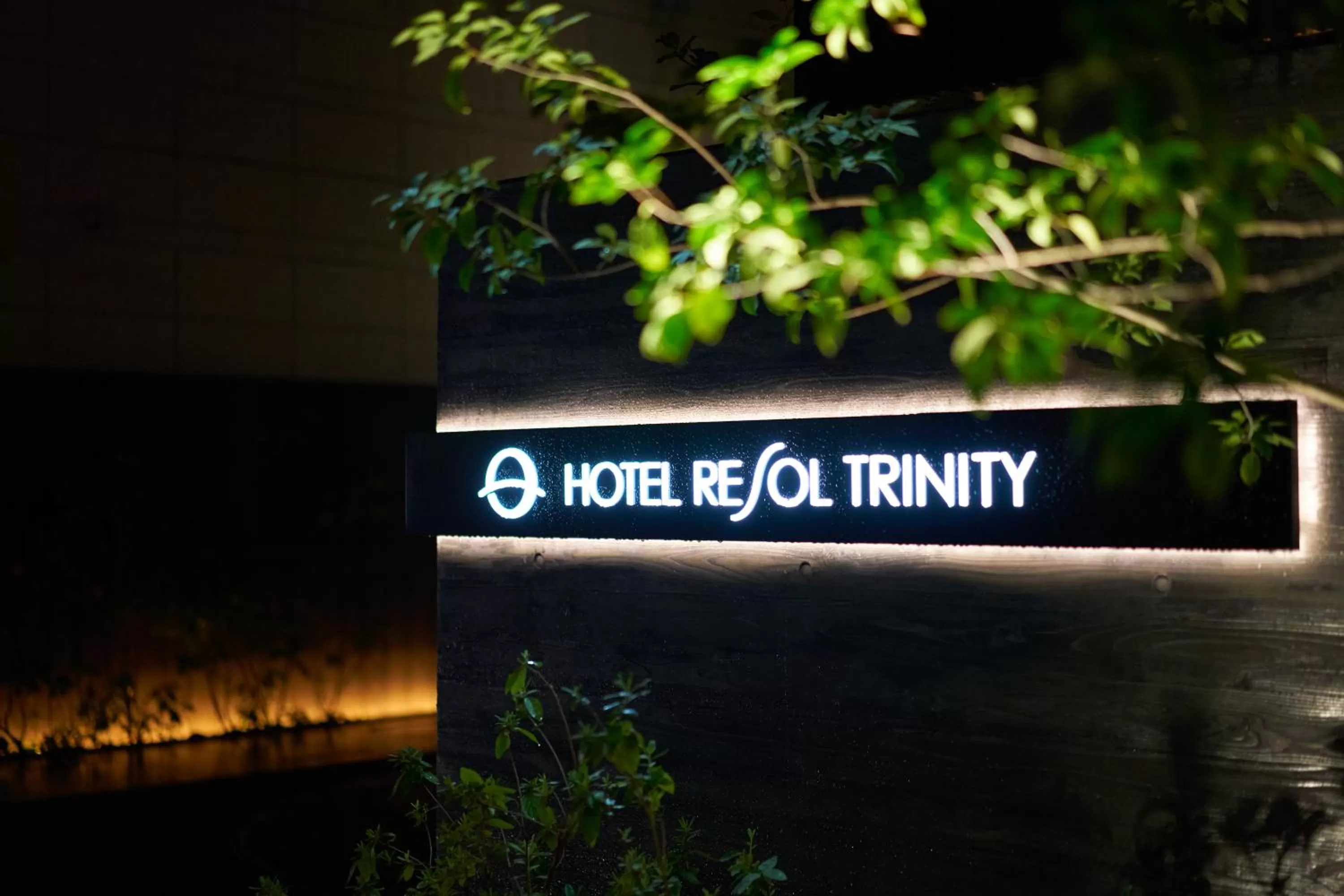 Night in Hotel Resol Trinity Osaka