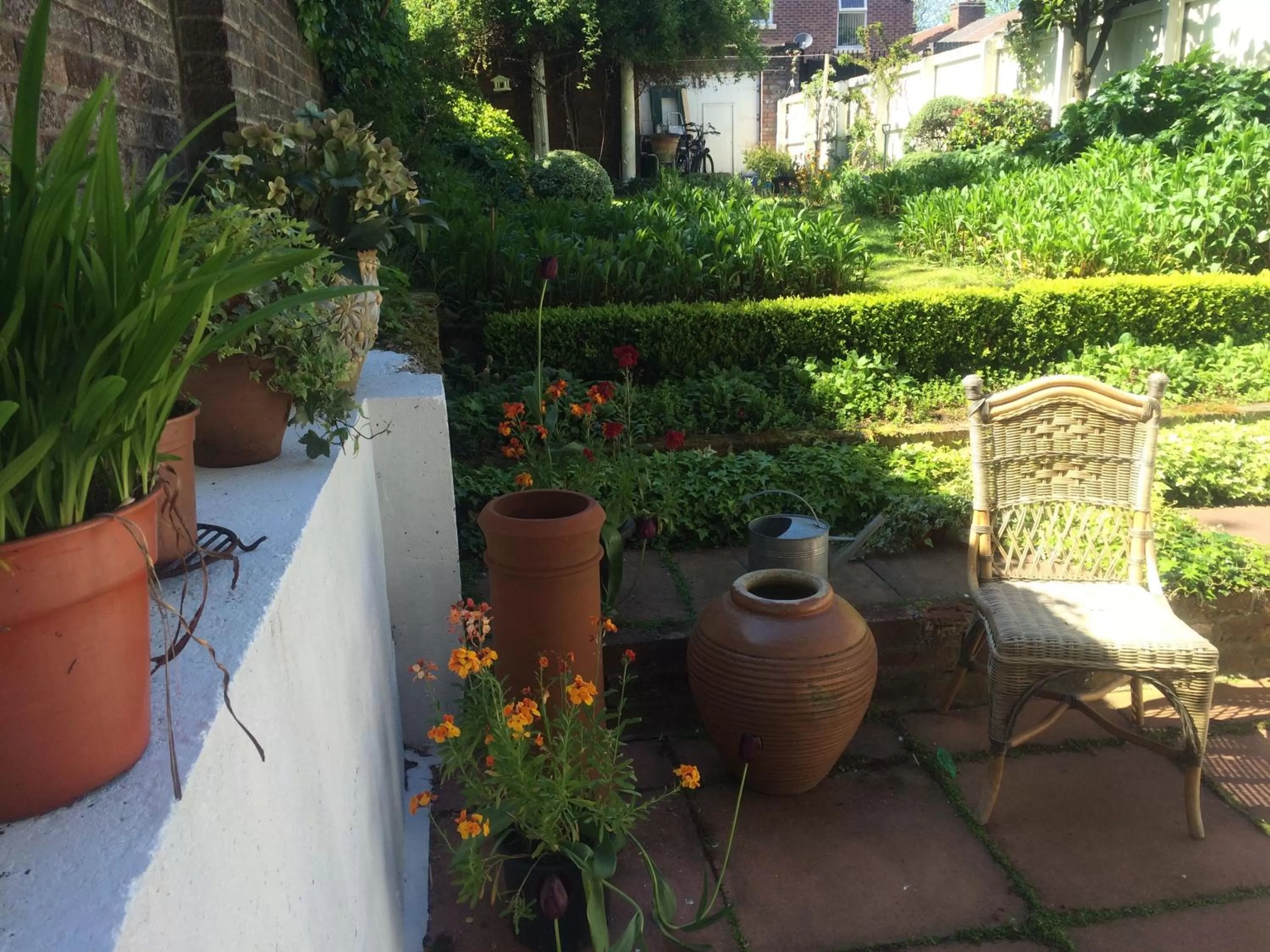 Garden view in Square Tree House