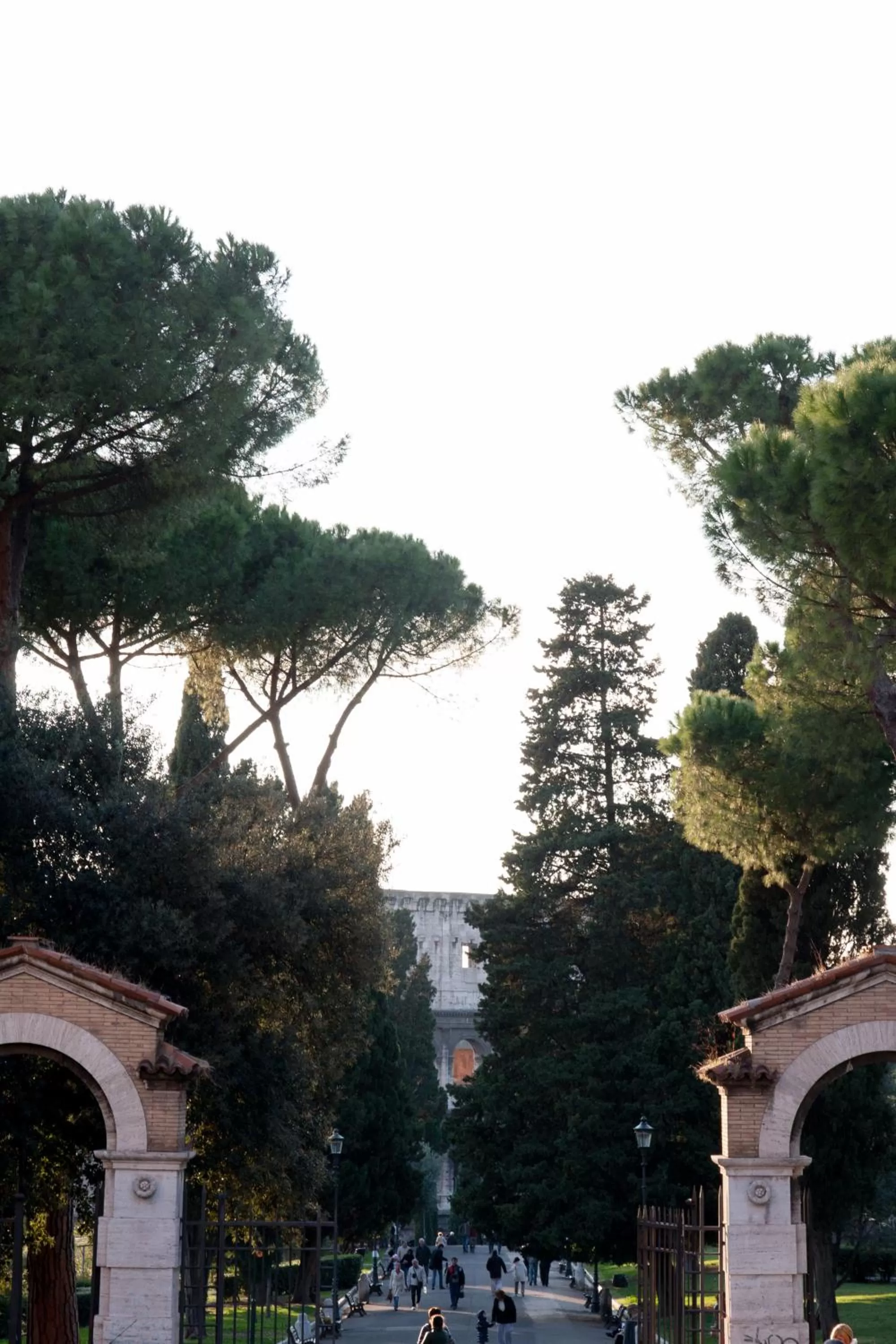 Nearby landmark in DomusAmor Colosseo