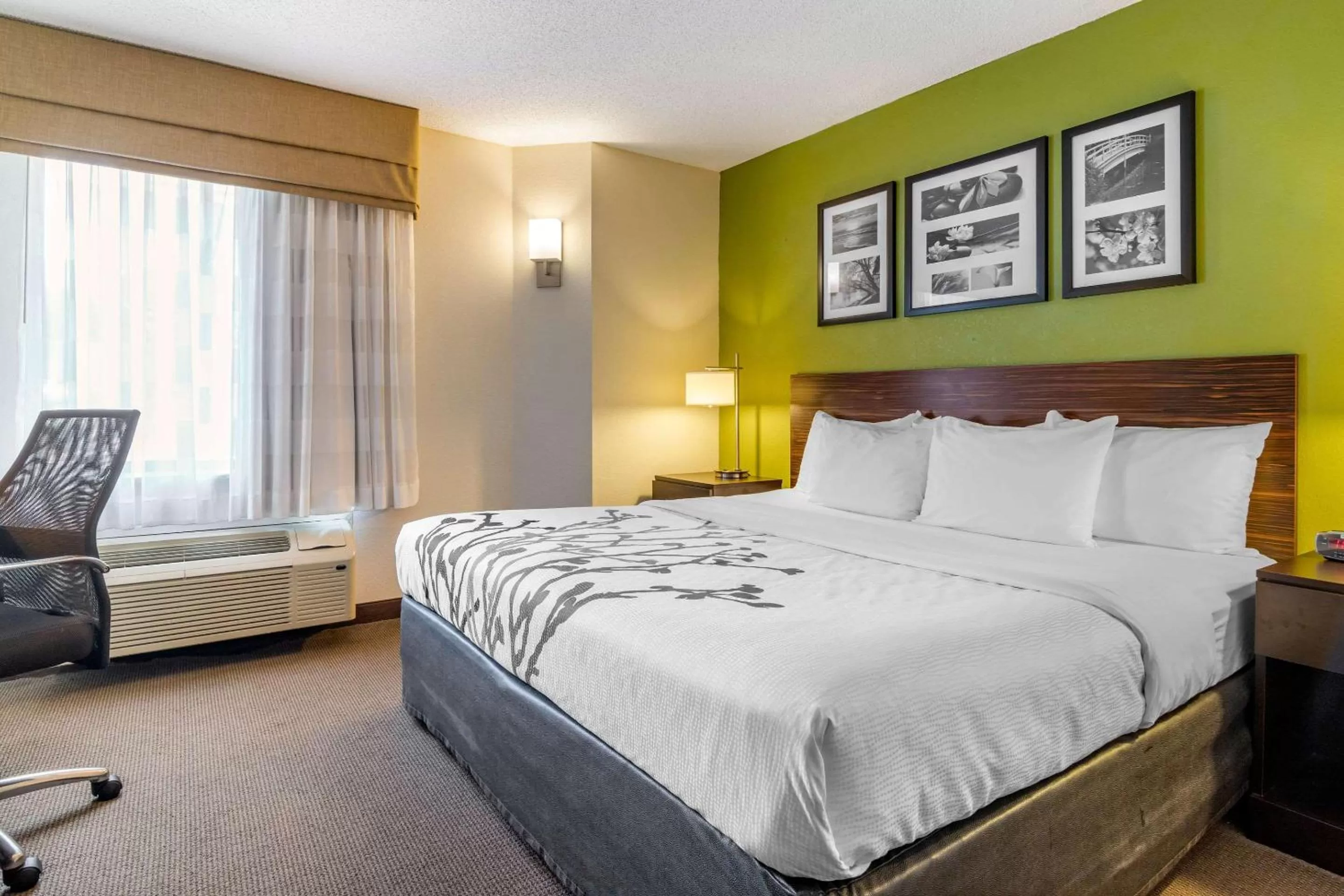 Photo of the whole room, Bed in Sleep Inn I-95 North Savannah