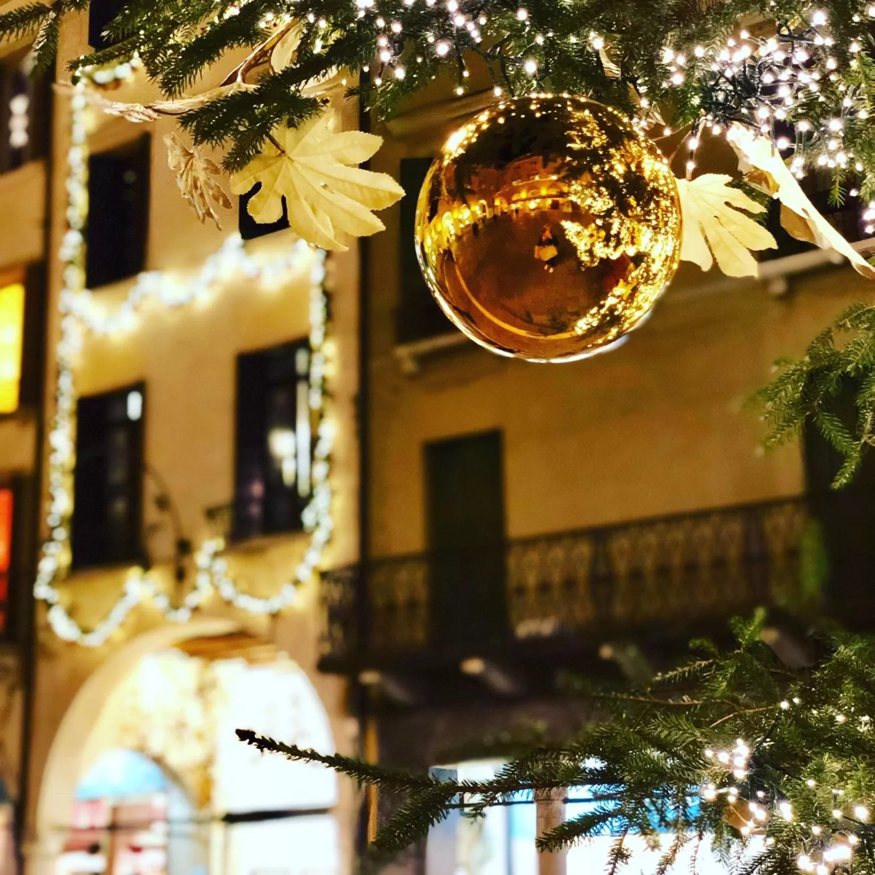 Property building in Palazzina300