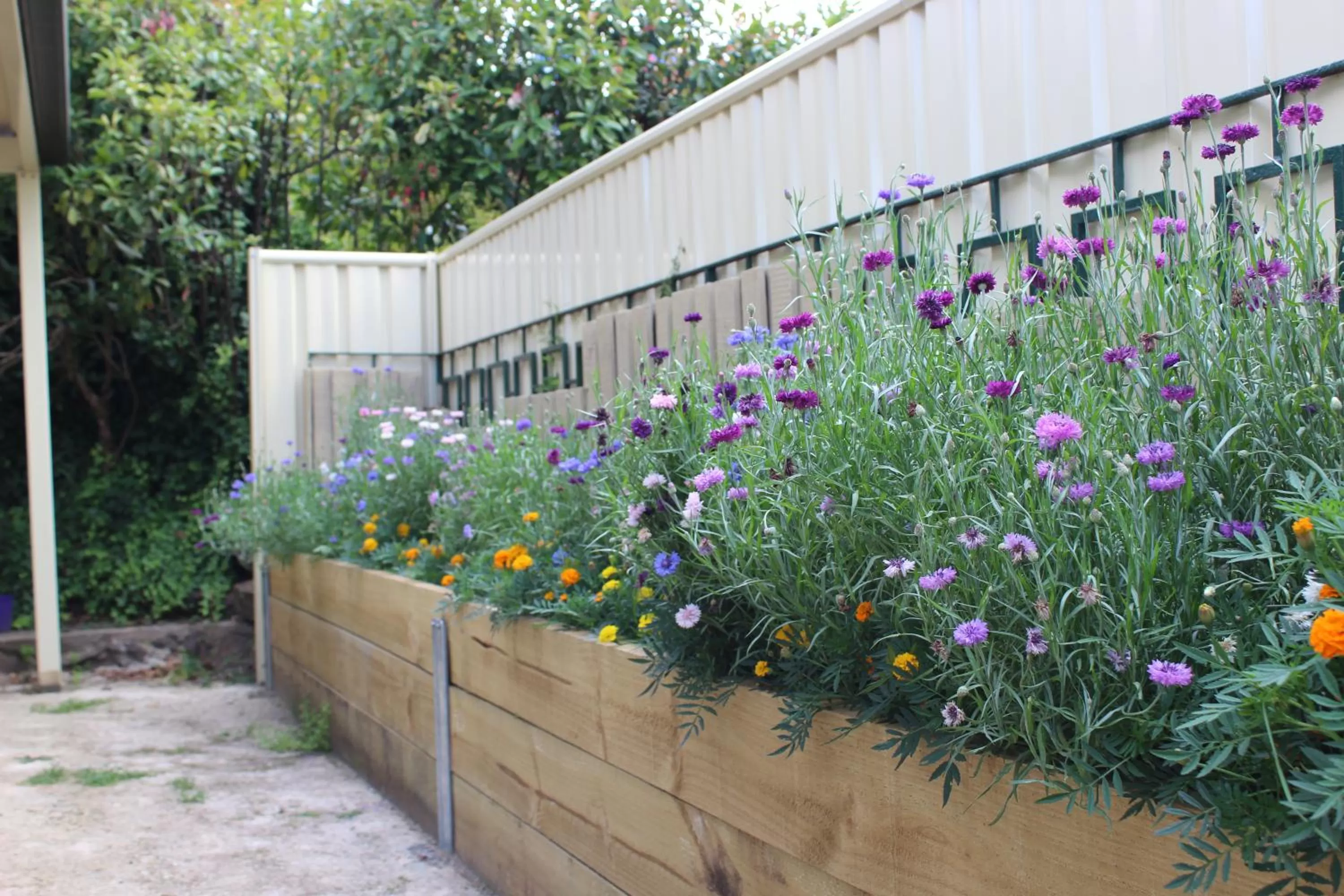 Garden in High Mountains Motor Inn