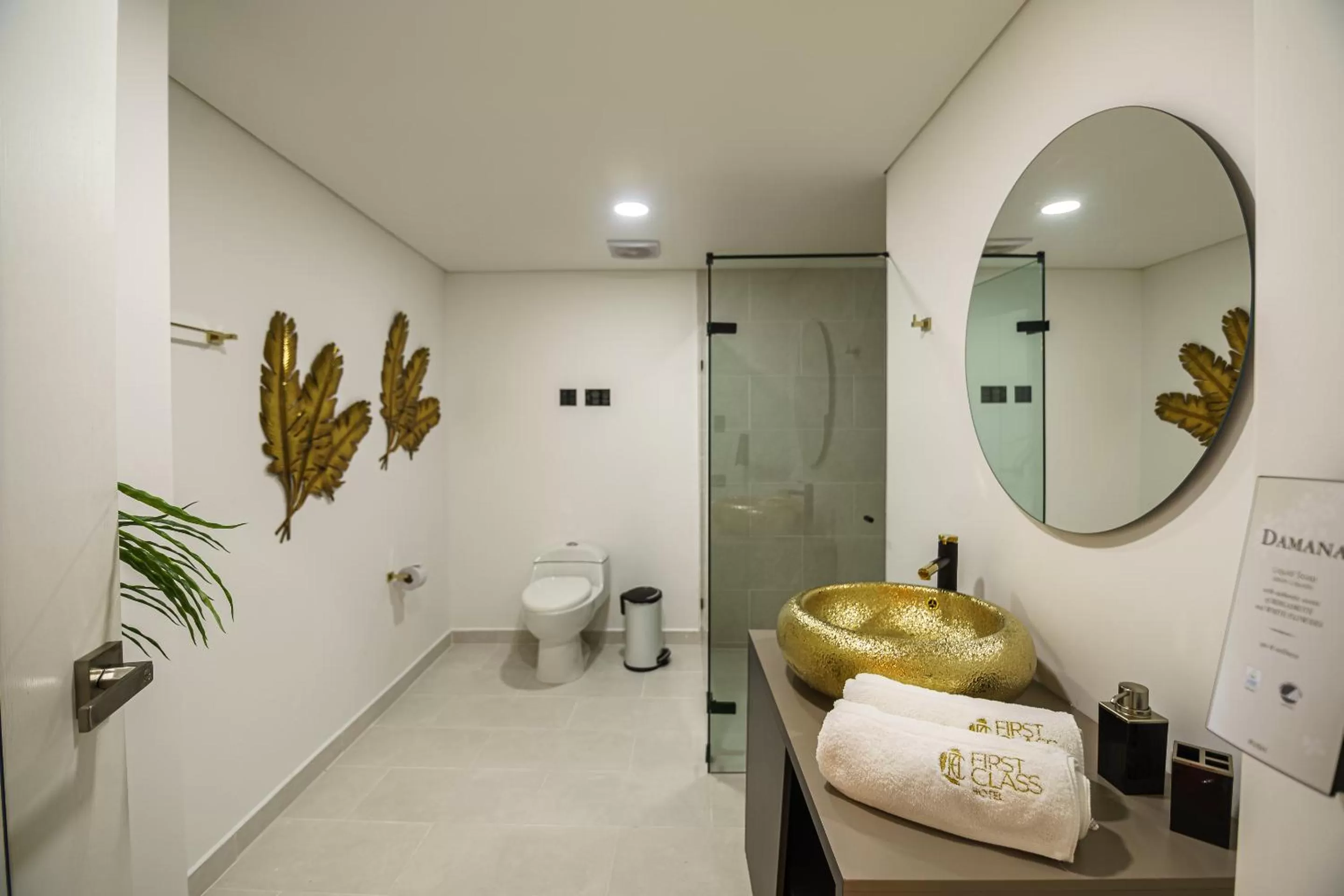 Toilet in First Class Hotel