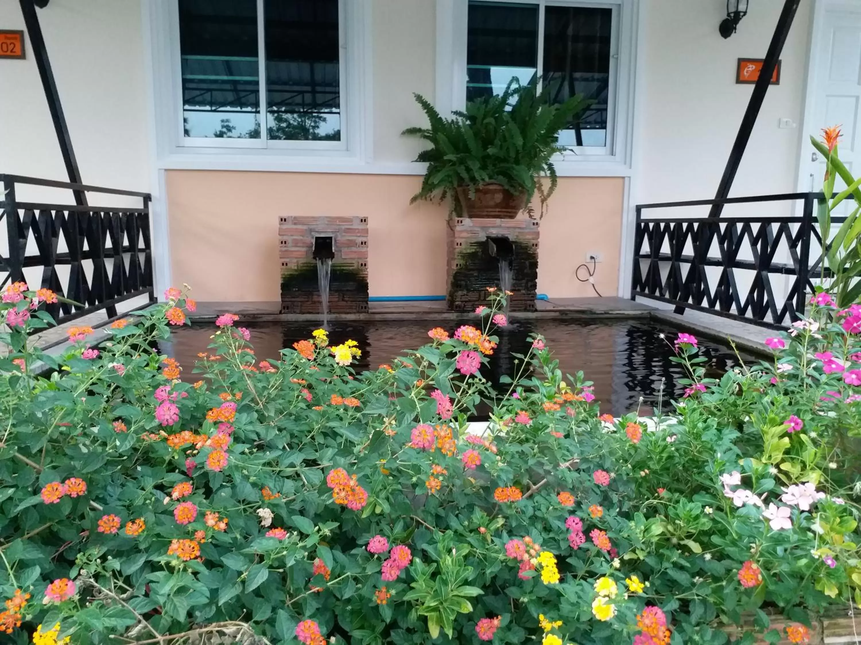 Natural landscape in Fancy Carp Resort