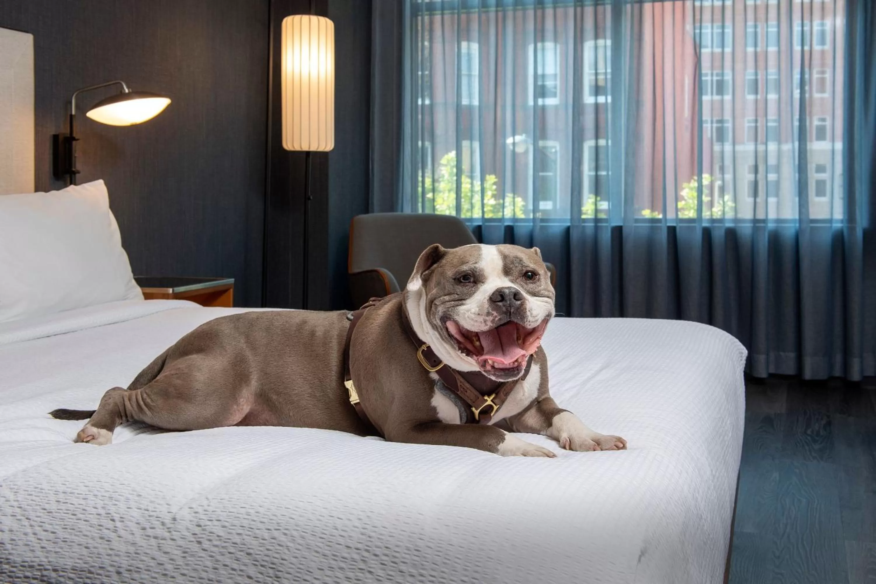 Other, Bed in Courtyard by Marriott Washington, DC Dupont Circle