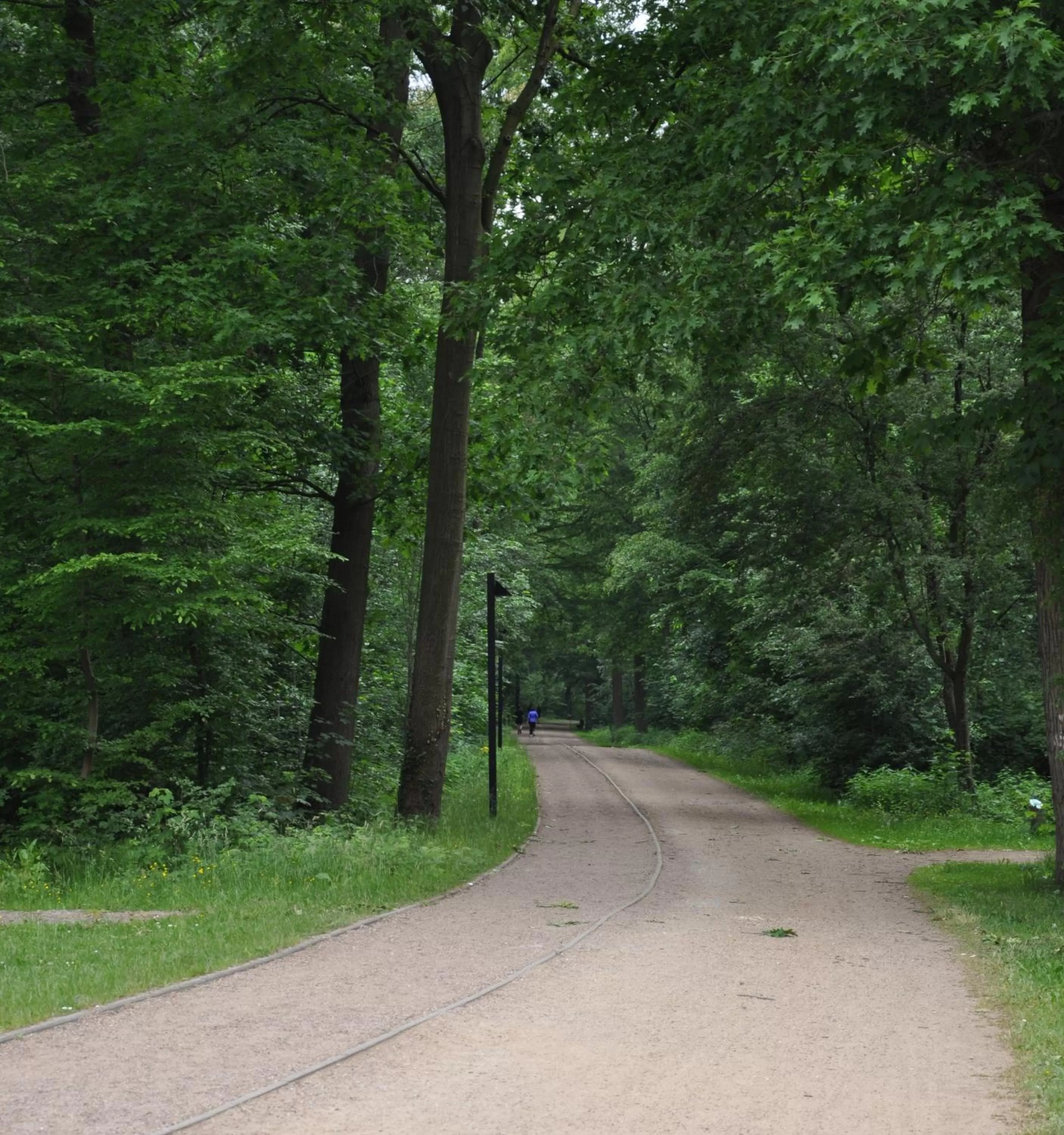 Neighbourhood in MUNTE - Wellnesshotel am Stadtwald