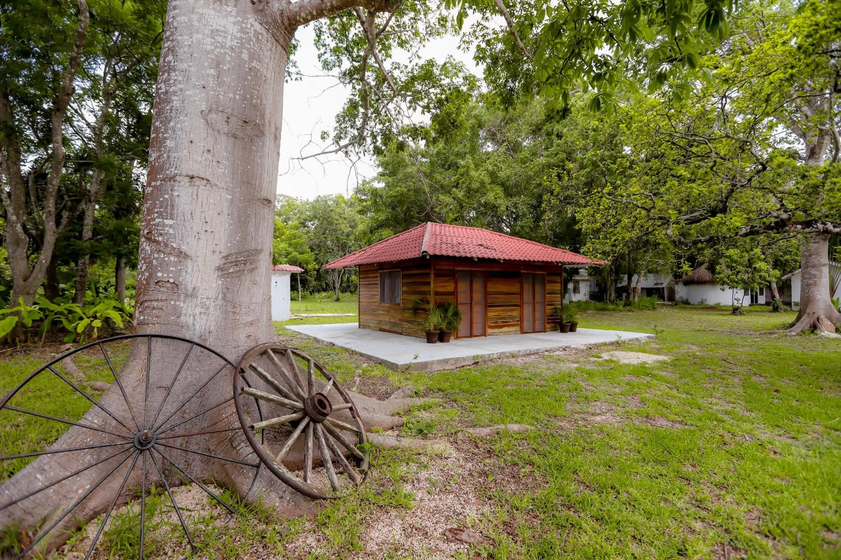 Natural landscape in Mayan Secret Hotel Boutique