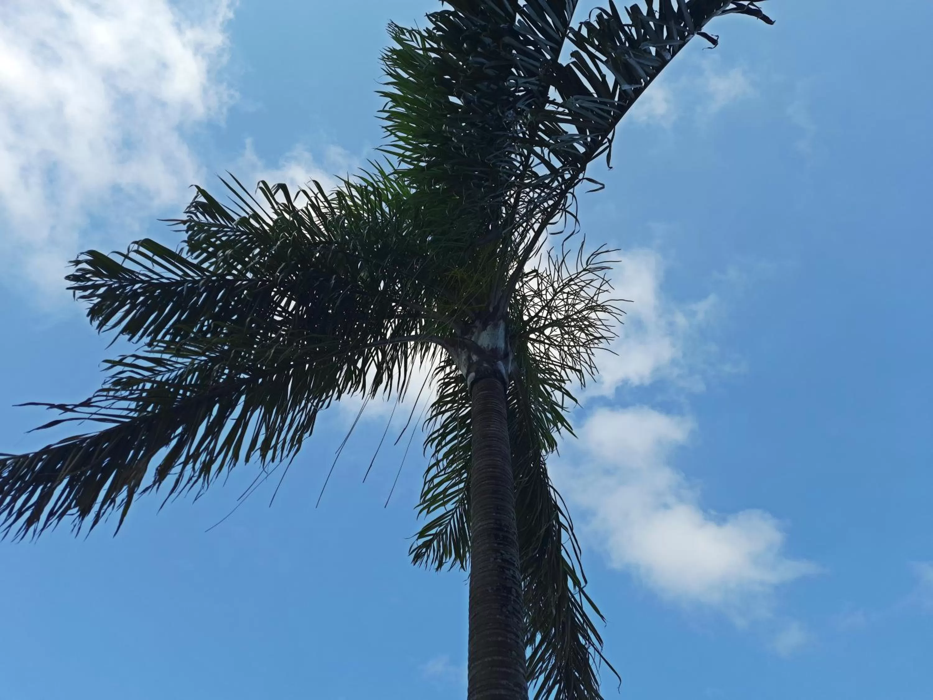 Natural landscape in Hotel Canto do Atlântico