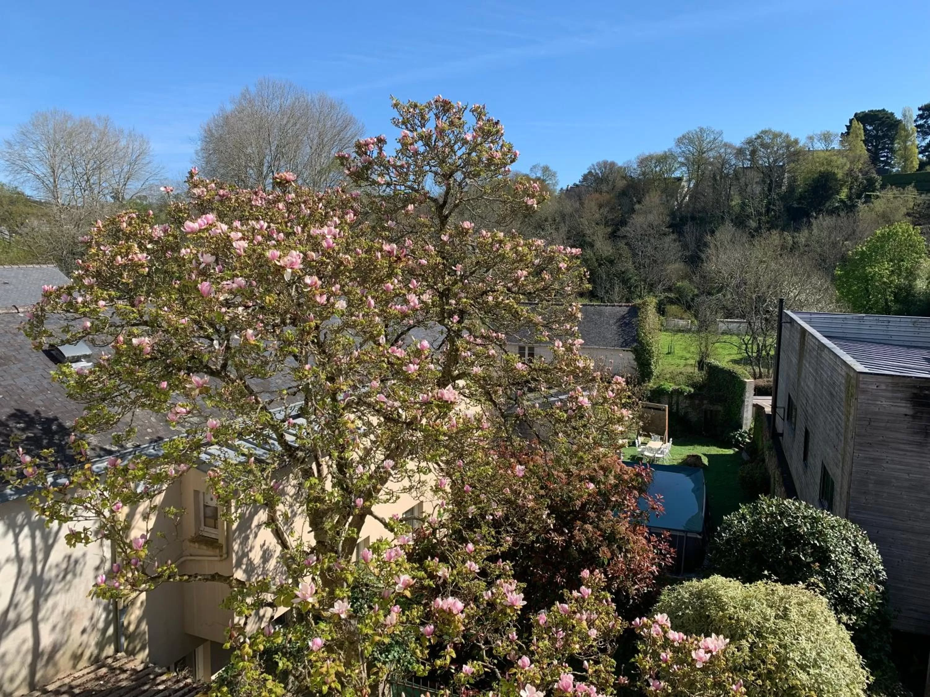 View (from property/room) in Hôtel Vintage