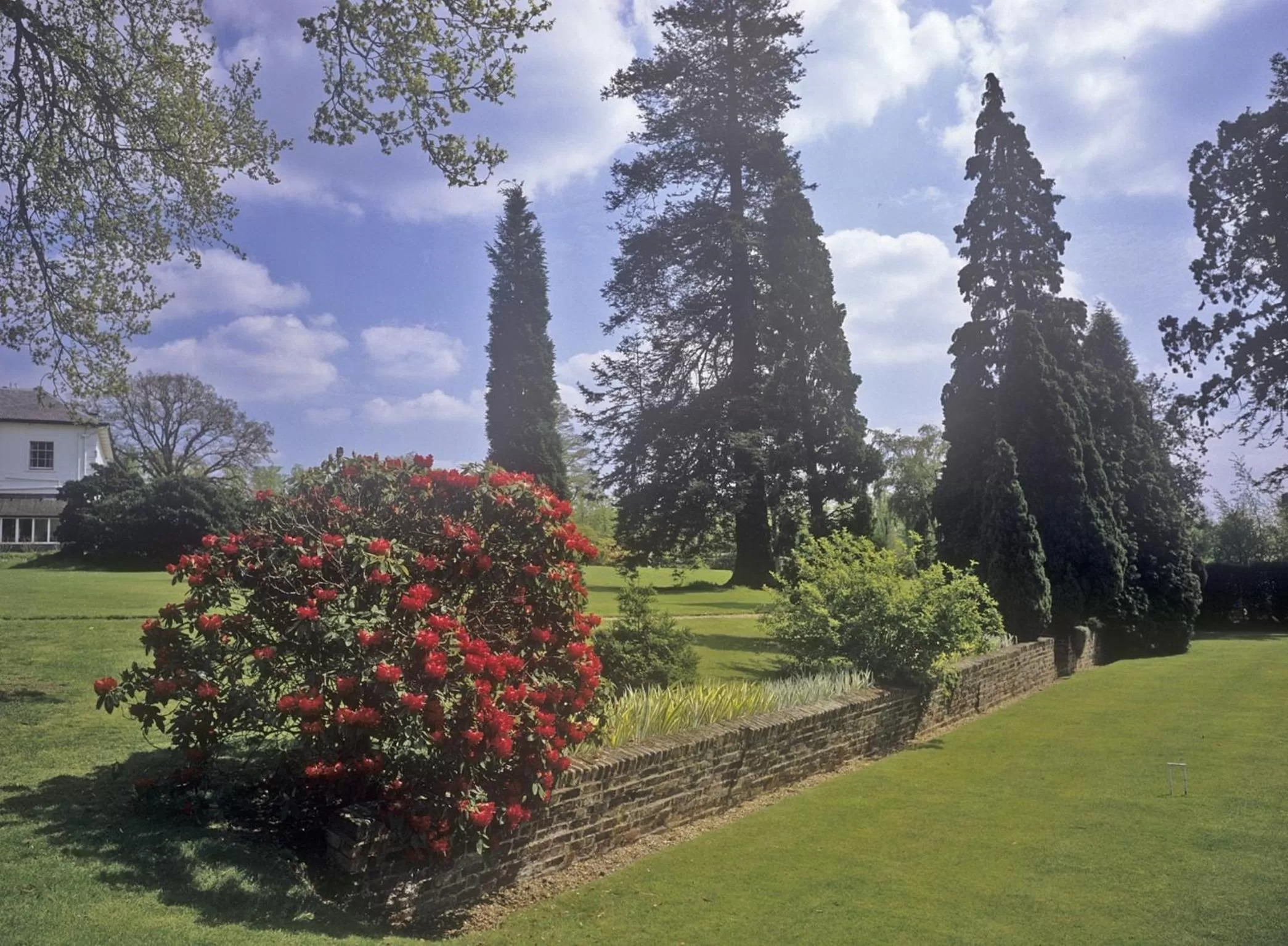 Garden in West Lodge Park
