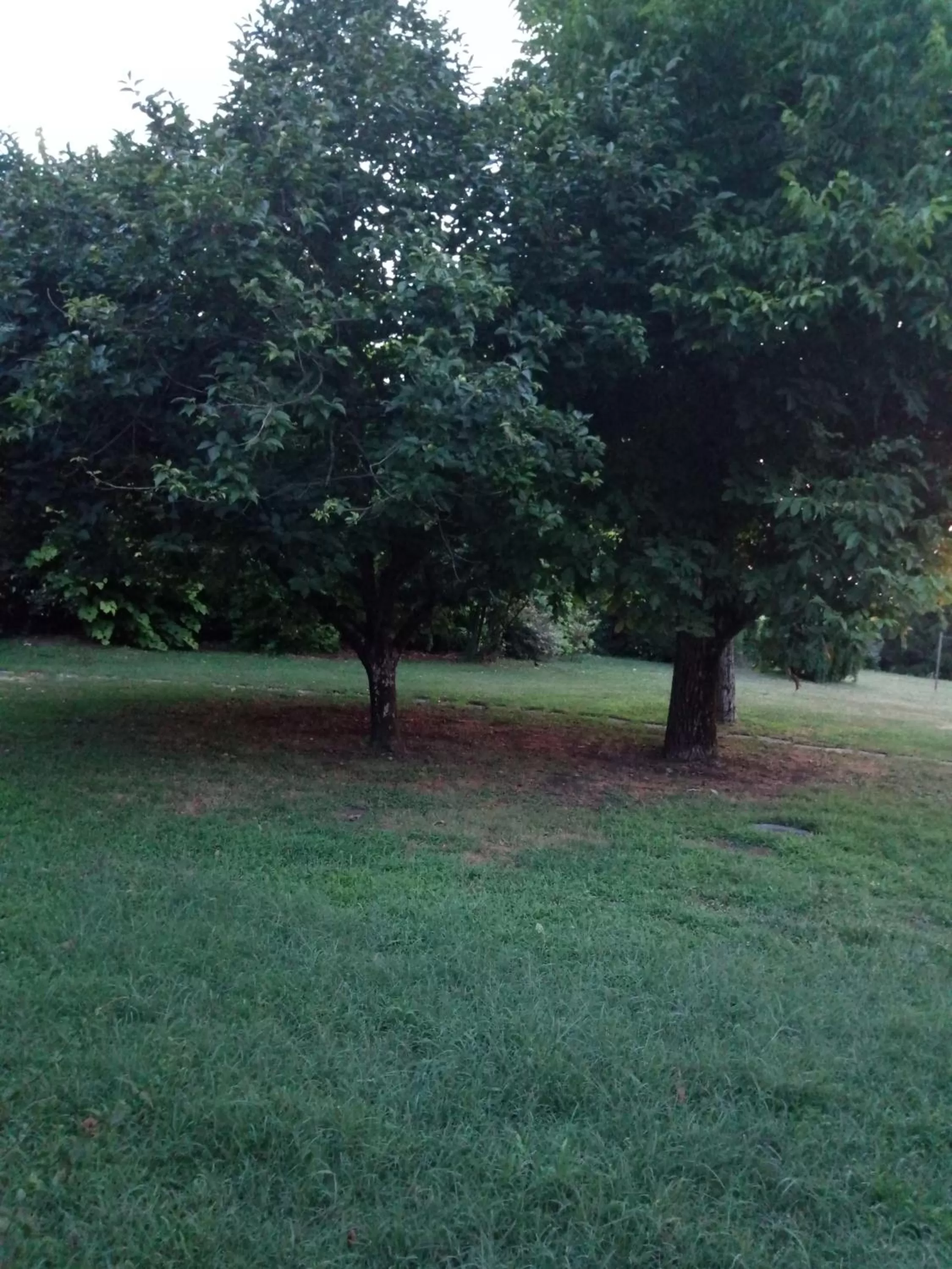 Garden in Corte Posta B&B