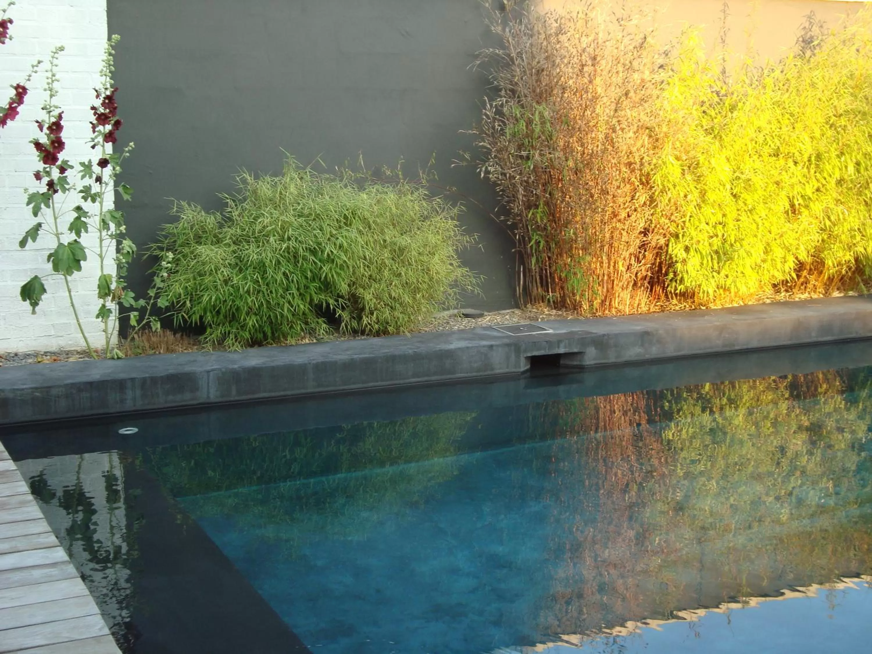 Swimming pool in B&B La Ruelle